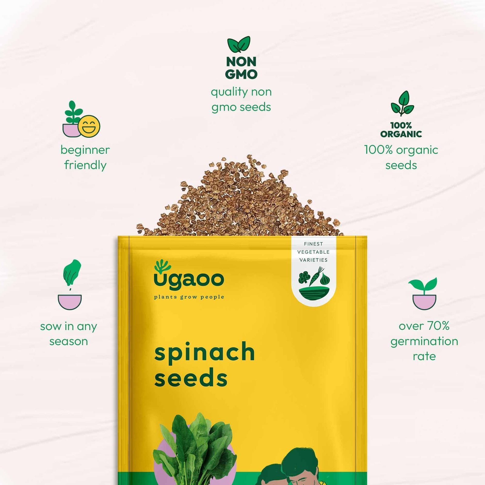Palak or Spinach Vegetable Seeds (Green, Pack of 16 g) -1700 Seeds - Image 5