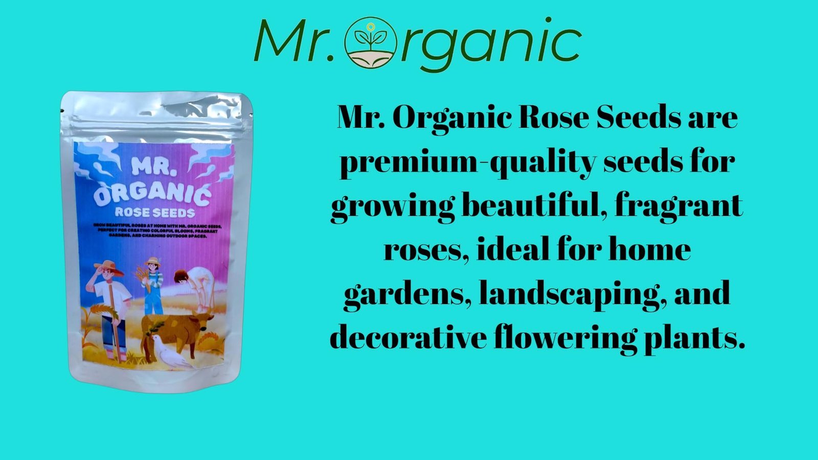 Climbing Rose Seeds For Home Garden (5 gram) | Red,Pink,White Colour Flower Seeds | A Vibrant Mix Colour Enhance Your Garden | High Germination Rate - Image 2