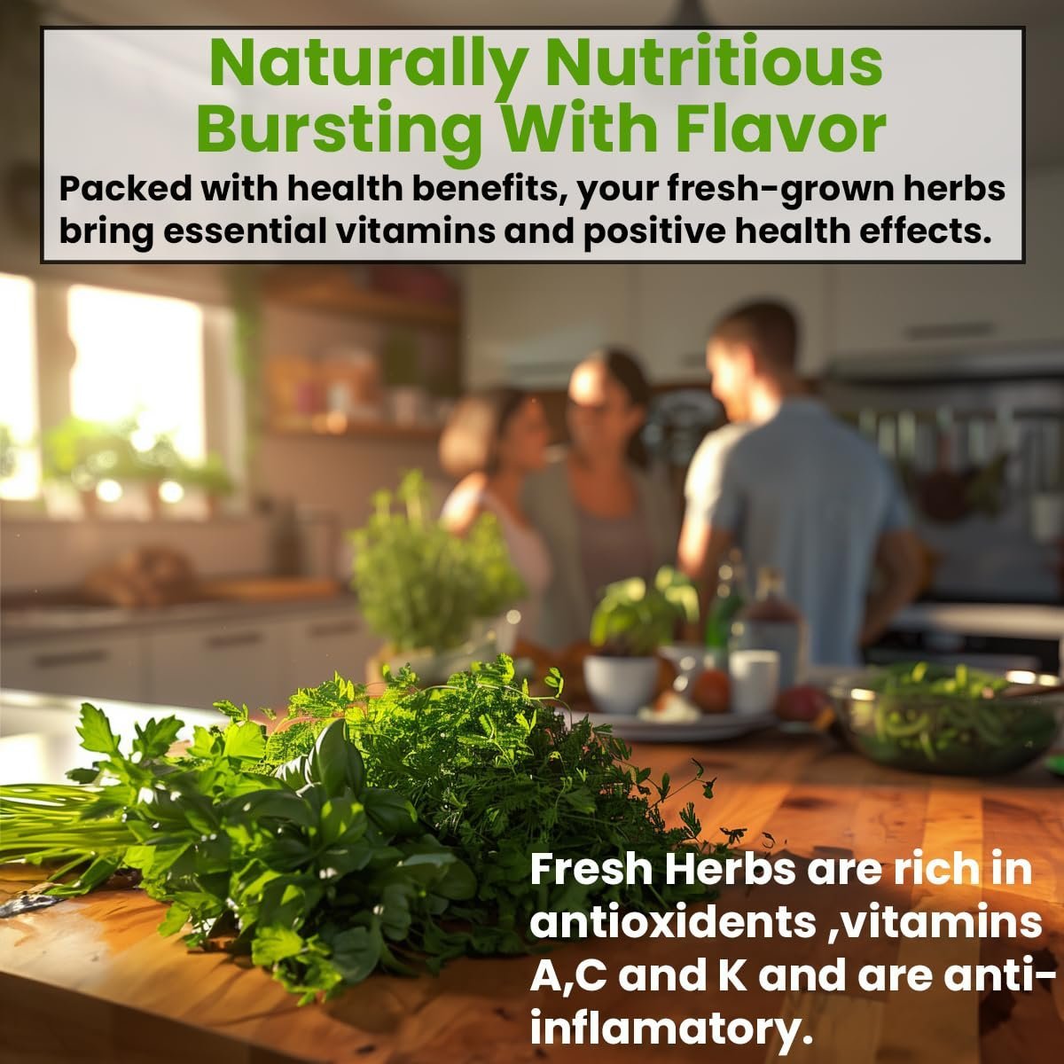 Set of 5 herb seeds, oregano, coriander, parsley, basil, chives - Image 4
