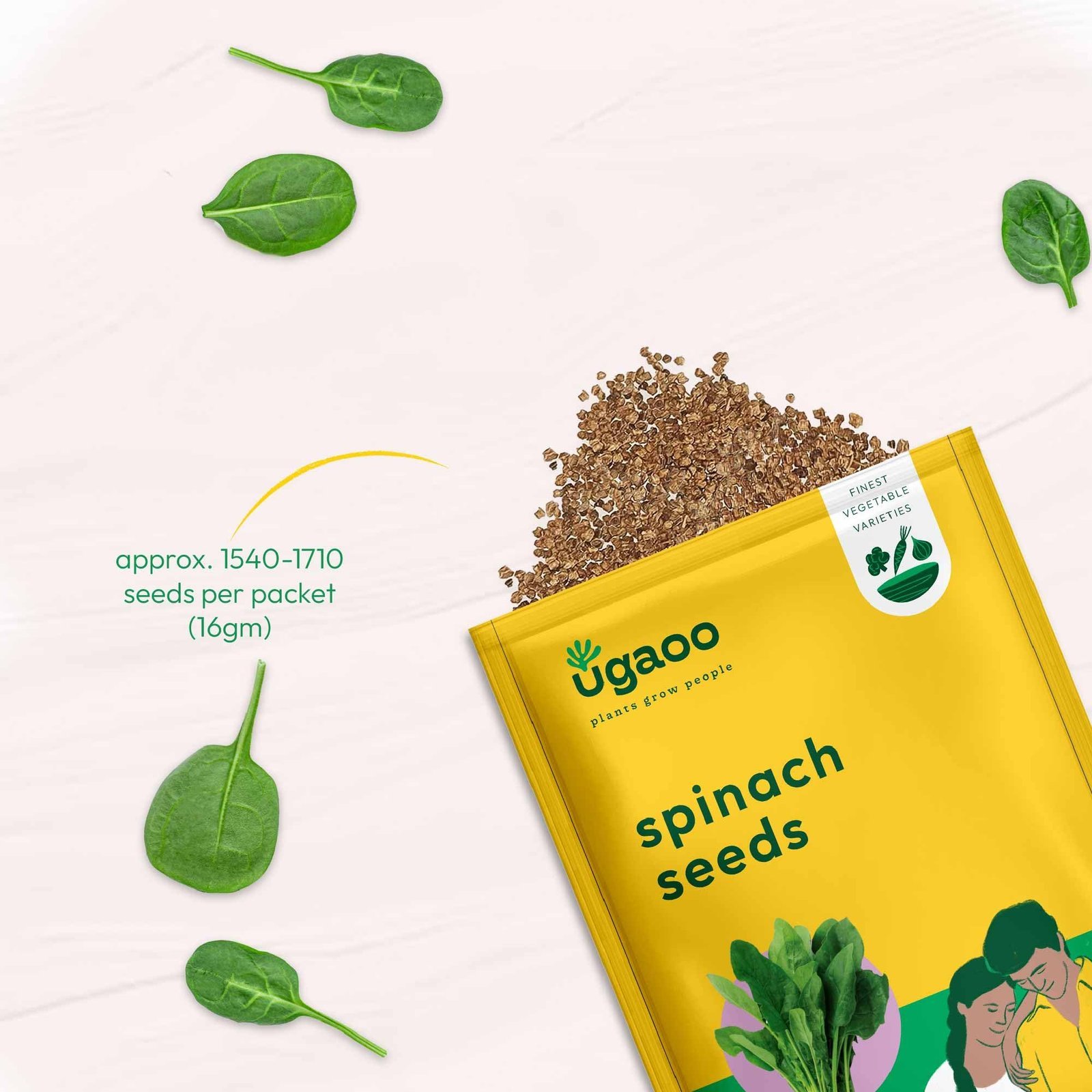 Palak or Spinach Vegetable Seeds (Green, Pack of 16 g) -1700 Seeds - Image 2