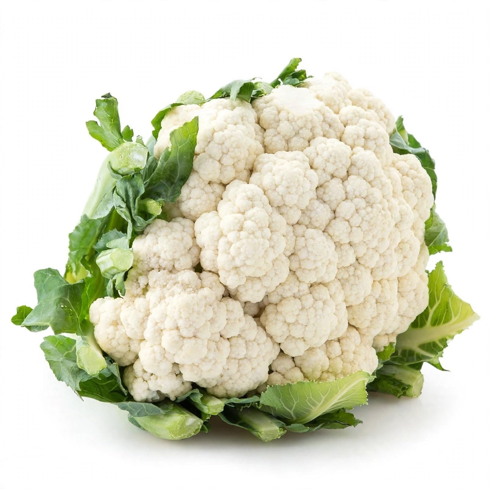 Combo Pack Cabbage + Cauliflower | 500 Seeds | Easy Home Gardening - Image 3