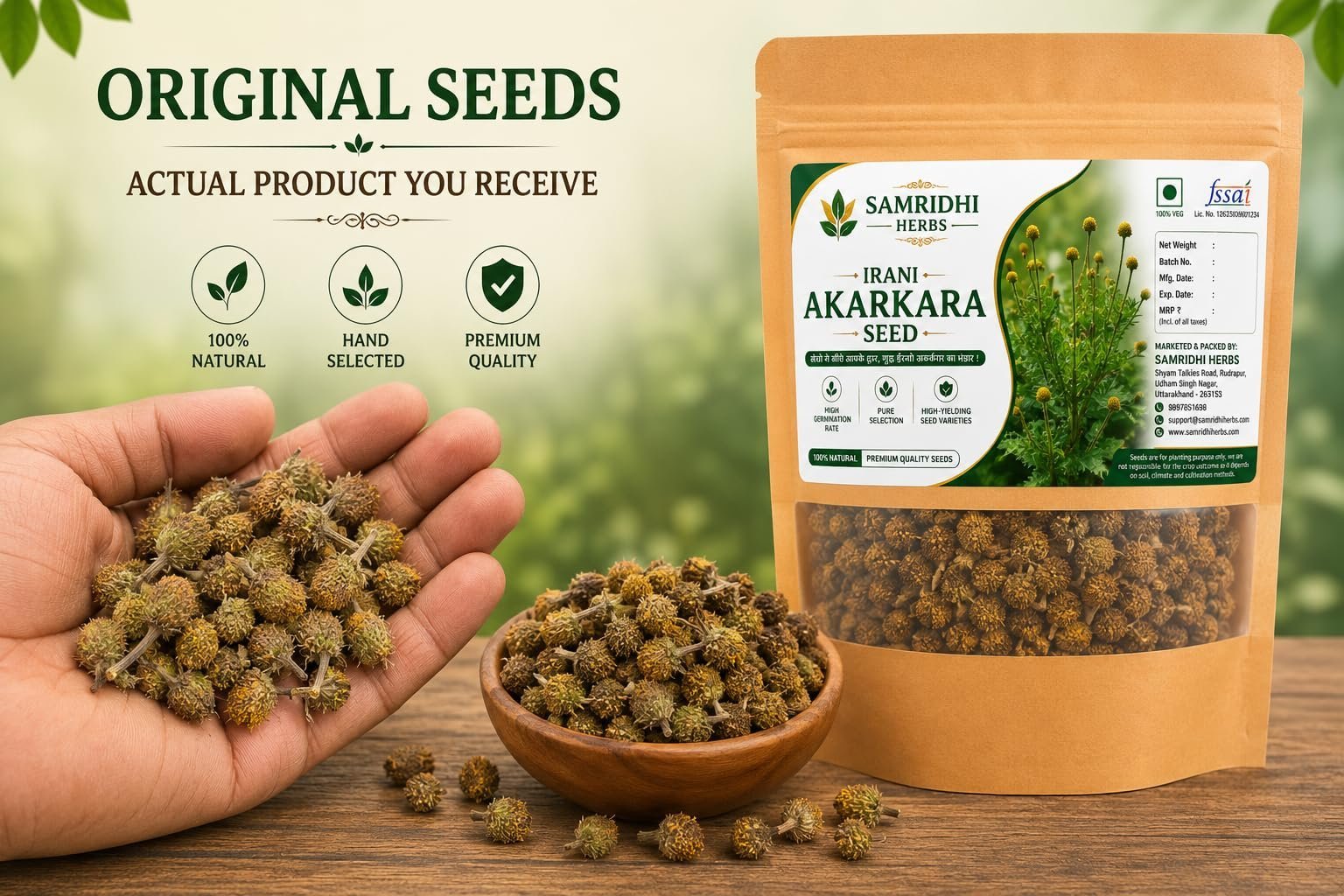 Akarkara (Acmella oleracea) Flower Seeds for Planting | Seeds for Home Gardening, Nursery & Outdoor Cultivation (50g × 1 Pack, 50, Grams) - Image 5