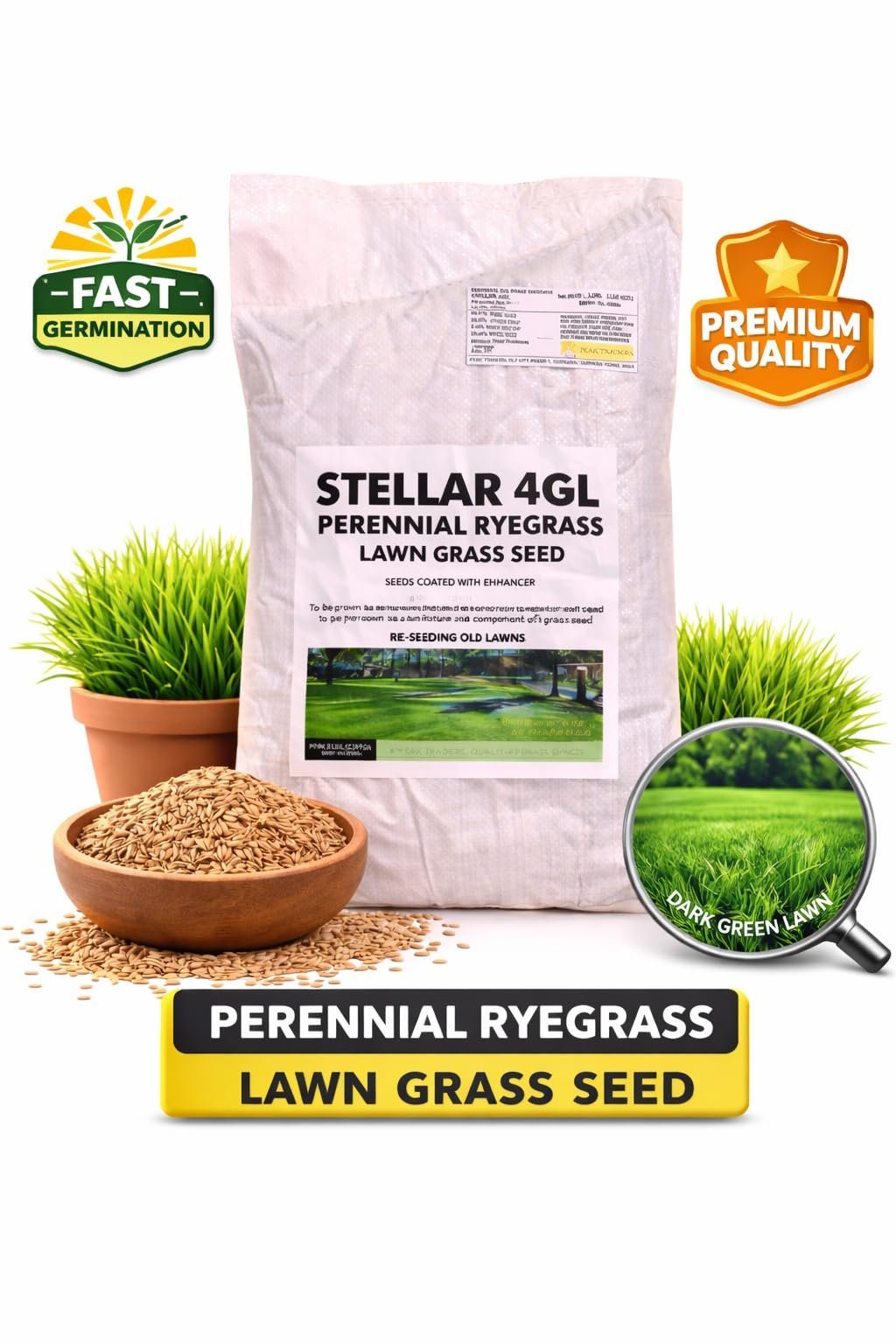 Peak Traders, Stellar 4GL Perennial Ryegrass Lawn Grass Seed, Dark Green Lawn, 5 LBS (2.27 Kg) - Image 2
