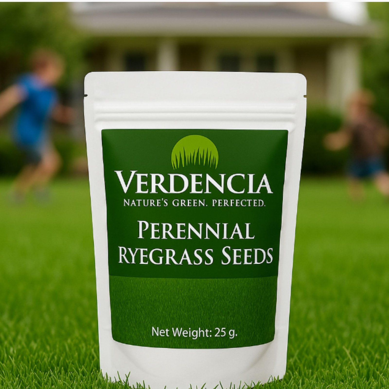 VERDENCIA Lawn Grass Seeds for Home Garden | Perennial Ryegrass | Fast Germination in 5-7 Days | High Traffic Lawn, Terrace & Sports Ground | Lush Green Coverage (25g) - Image 2