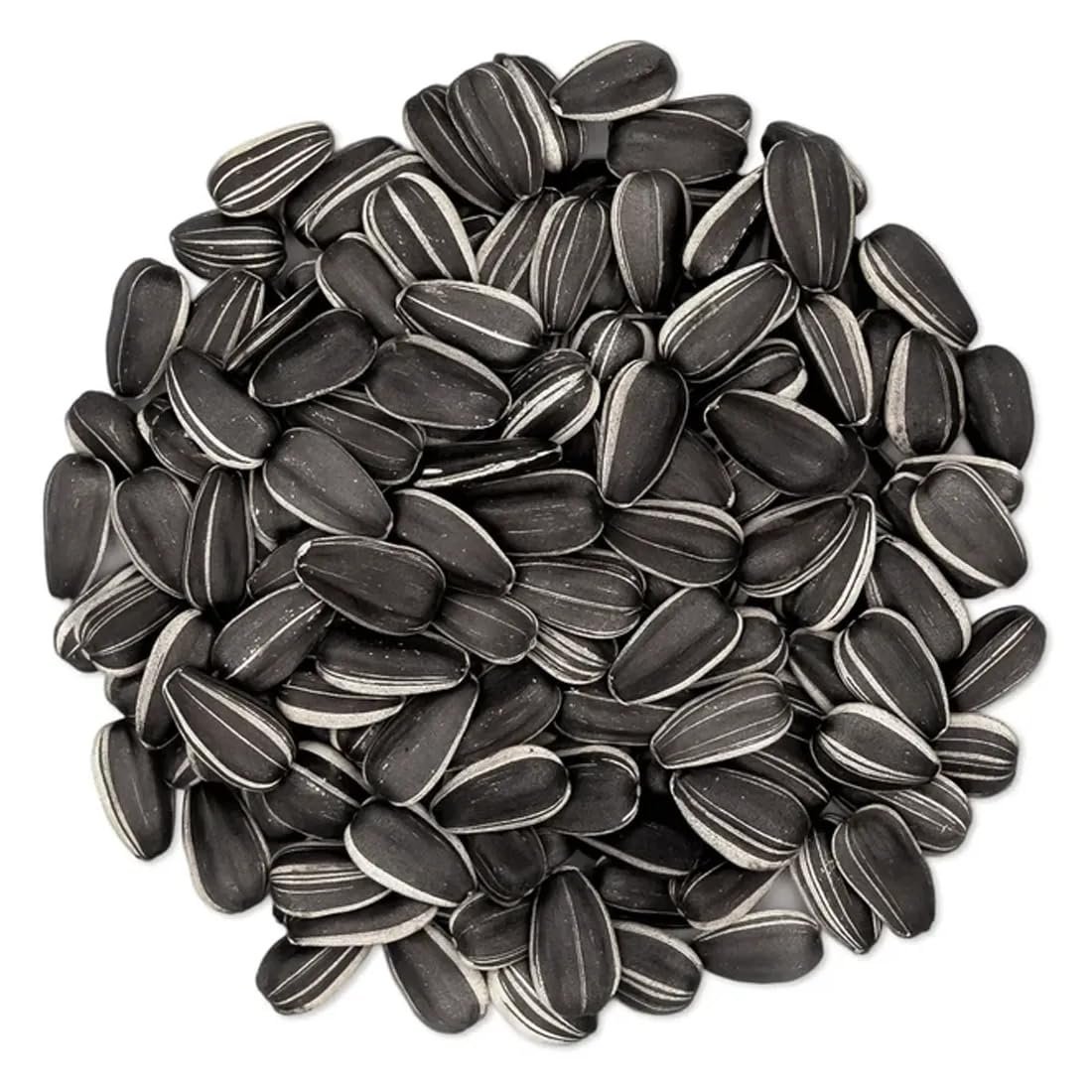 50 Premium Sunflower Seeds for Planting | High Germination Helianthus annuus Flower Seeds Home Garden Seeds Bright Yellow Blooming Sunflower Seeds Pack
