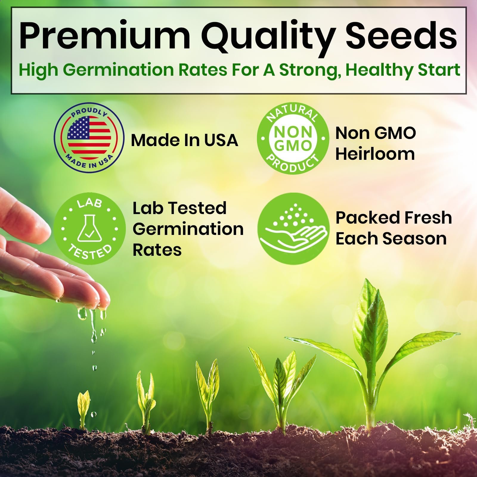 Set of 5 herb seeds, oregano, coriander, parsley, basil, chives - Image 6