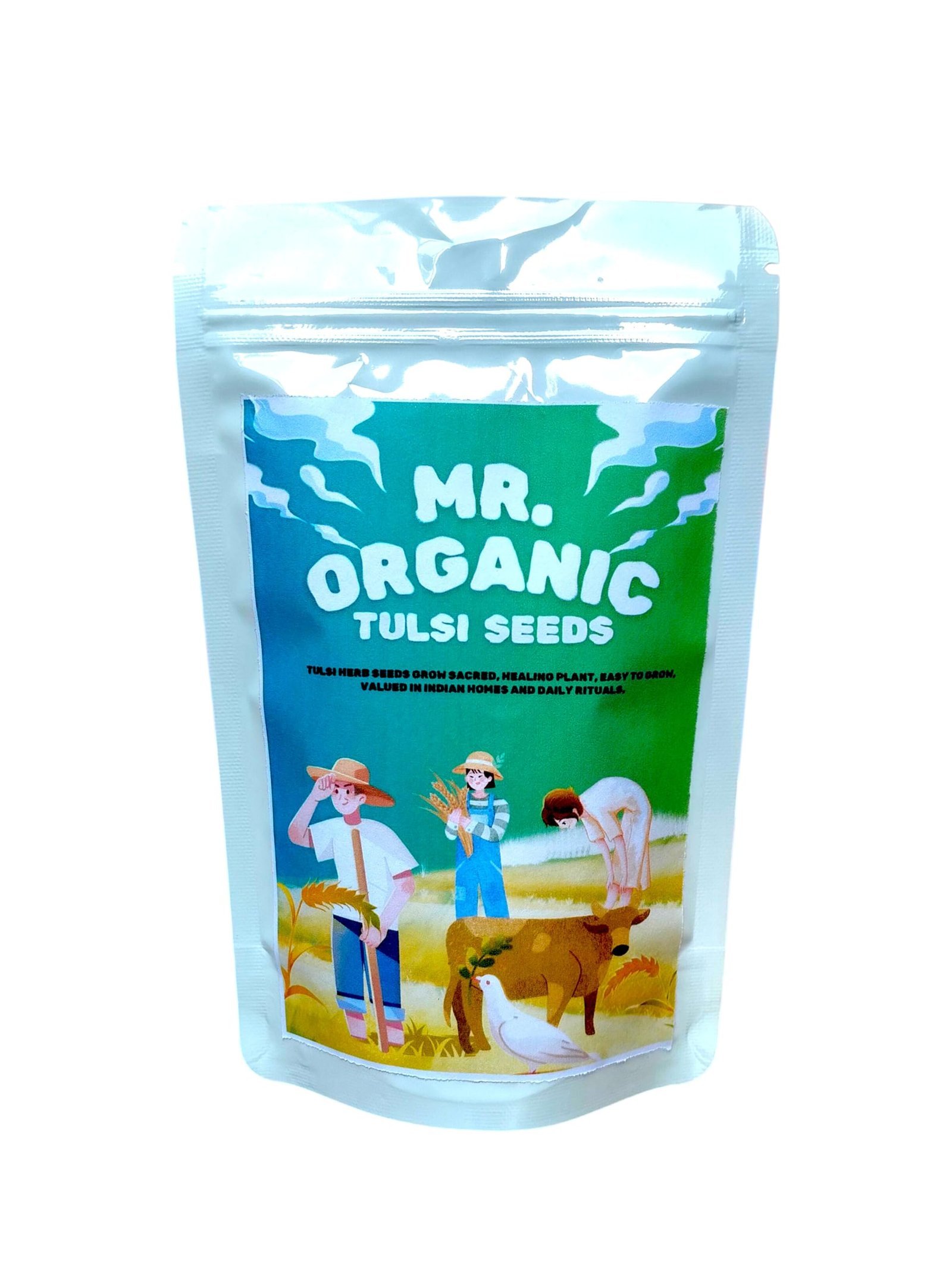 Tulsi Herb Seeds For Home Garden(8000 To 10000 Seeds) 6 Gram | Rama Tulsi Seeds | Herb planting seeds ideal for both home gardening | High Germination Rate