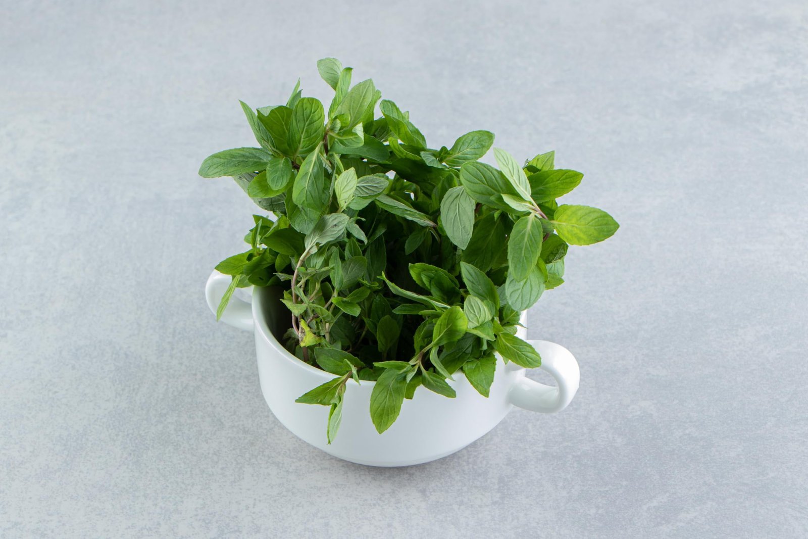 Tulsi Herb Seeds For Home Garden(8000 To 10000 Seeds) 6 Gram | Rama Tulsi Seeds | Herb planting seeds ideal for both home gardening | High Germination Rate - Image 7