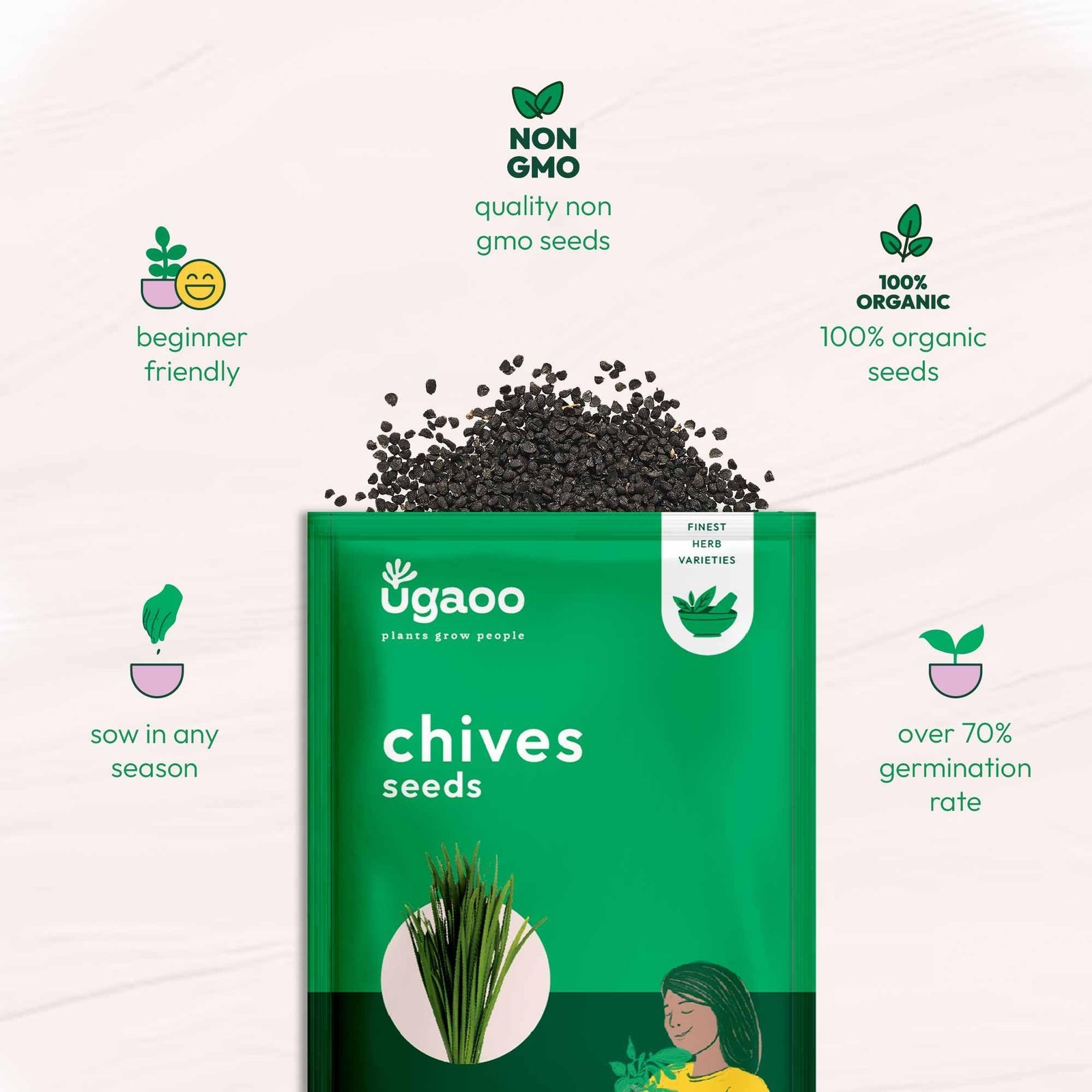 Chives Herb Seeds (Green, Pack of 500) - Image 5