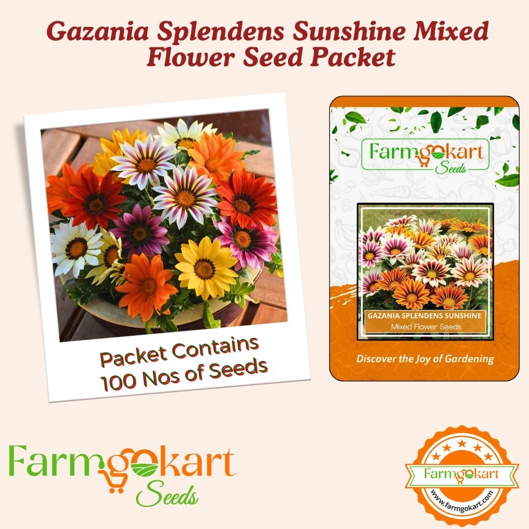 Winter Season ~ Flower Seeds Combo Collection Pack of 6 varieties for Home Garden ~ Dahlia, Sweet William, Mesembrayanthem, Salvia, Gazania and Verbana - Image 6
