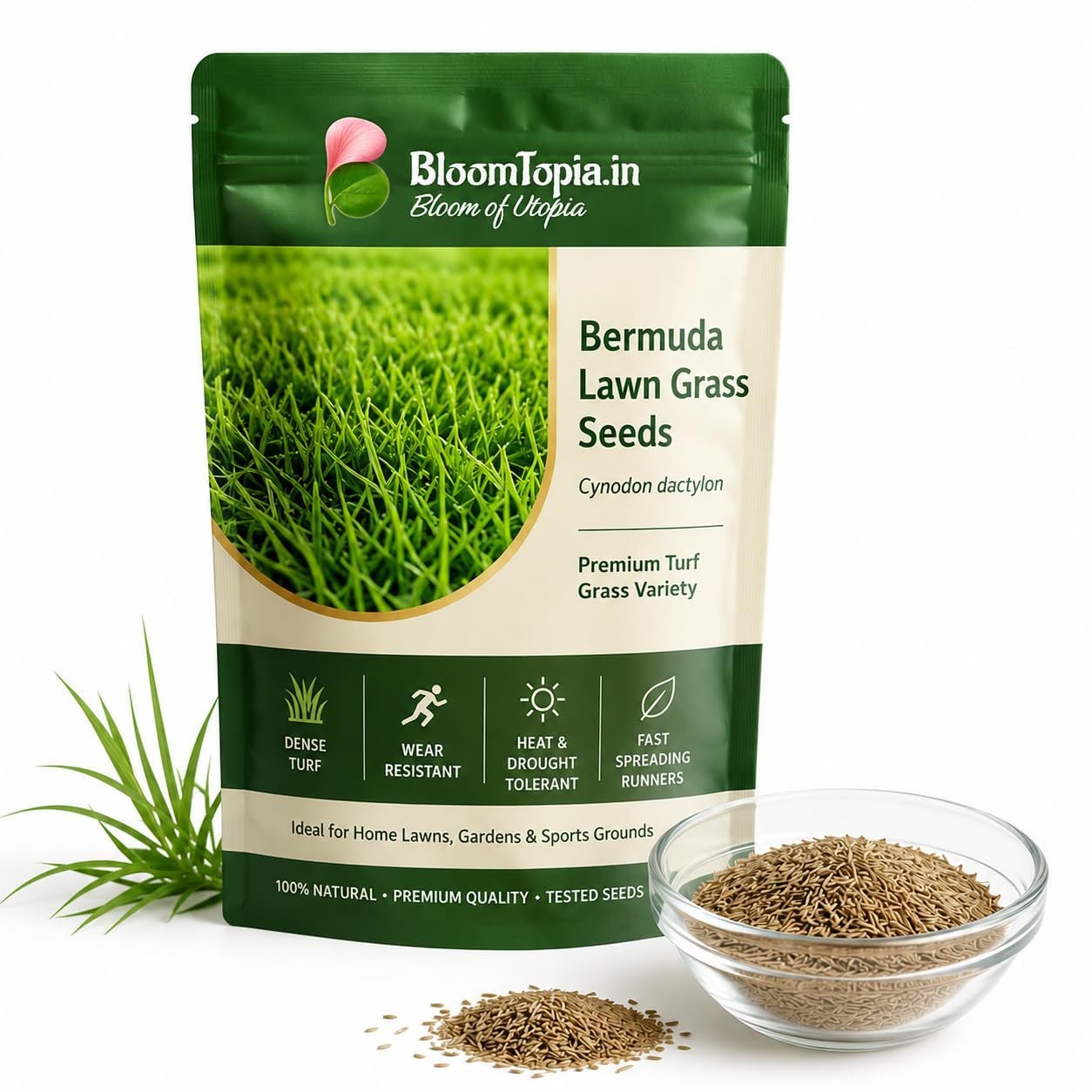 American Bermuda Lawn Grass Seeds for Home Garden & Sports Ground | Fast Spreading, Heat & Drought Tolerant | 100% Germination Rate Mexican Carpet Grass (1000 mg)