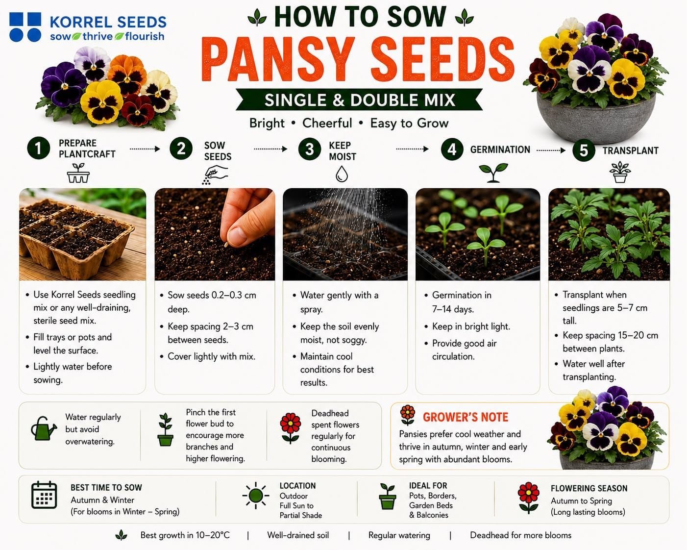 Pansy KS Special Mix Flower Seeds 100g (Viola × wittrockiana) | Professional Nursery Pack | Winter Flower Seeds for Pots, Beds, Balcony & Garden - Image 3