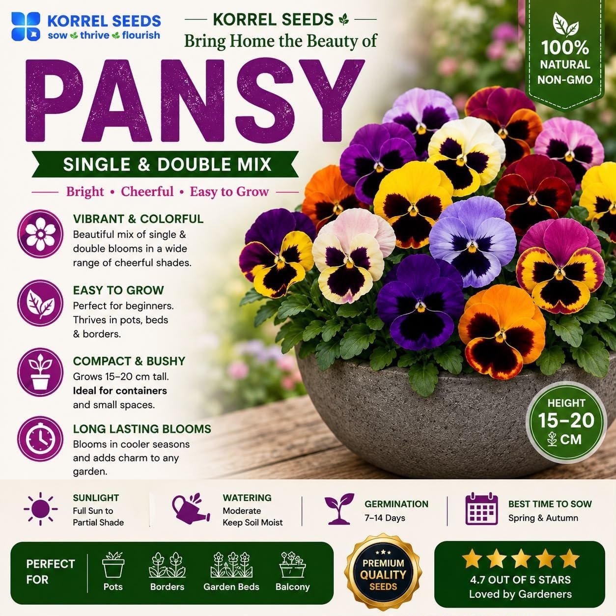 Pansy KS Special Mix Flower Seeds 100g (Viola × wittrockiana) | Professional Nursery Pack | Winter Flower Seeds for Pots, Beds, Balcony & Garden - Image 5
