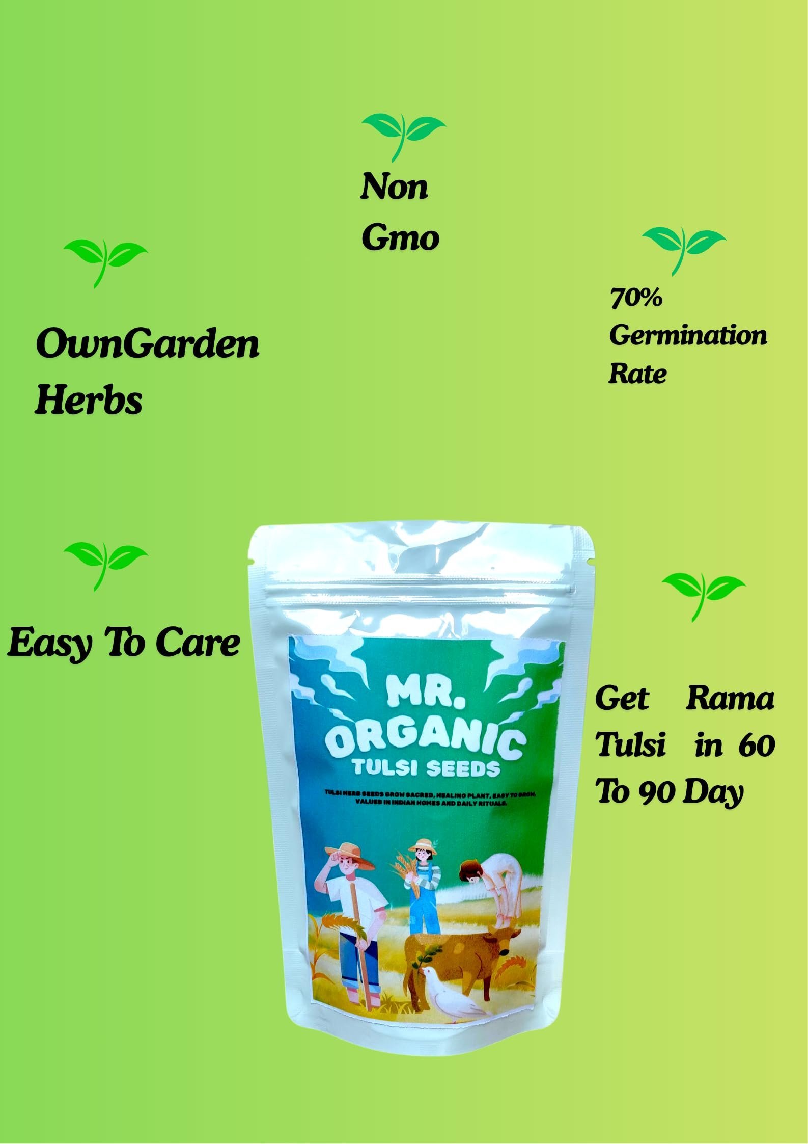Tulsi Herb Seeds For Home Garden(8000 To 10000 Seeds) 6 Gram | Rama Tulsi Seeds | Herb planting seeds ideal for both home gardening | High Germination Rate - Image 5