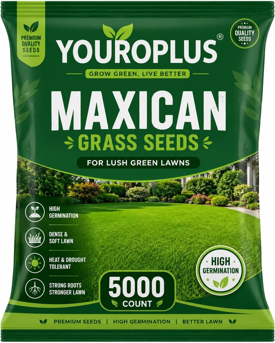 Mexican grass seeds for lawn blend | hybrid mexican grass seeds for lawn, low maintenance, high germination in all time (99%), carpet grass - rapid germination (5000 count)