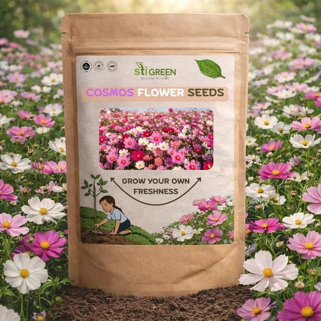 Cosmos Flower Seeds 300 Mixed Colors | Easy to Grow Annuals for Garden Beds Borders Pots & Pollinator Gardens | Non-GMO Heirloom Flower Seeds for Home Gardening