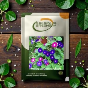 Morning Glory Flower Seeds for Home Garden | Fast Growing Climbing Vine | Multicolor Blooming | Easy to Grow Annual Flower Seeds Pack of 20 Seeds
