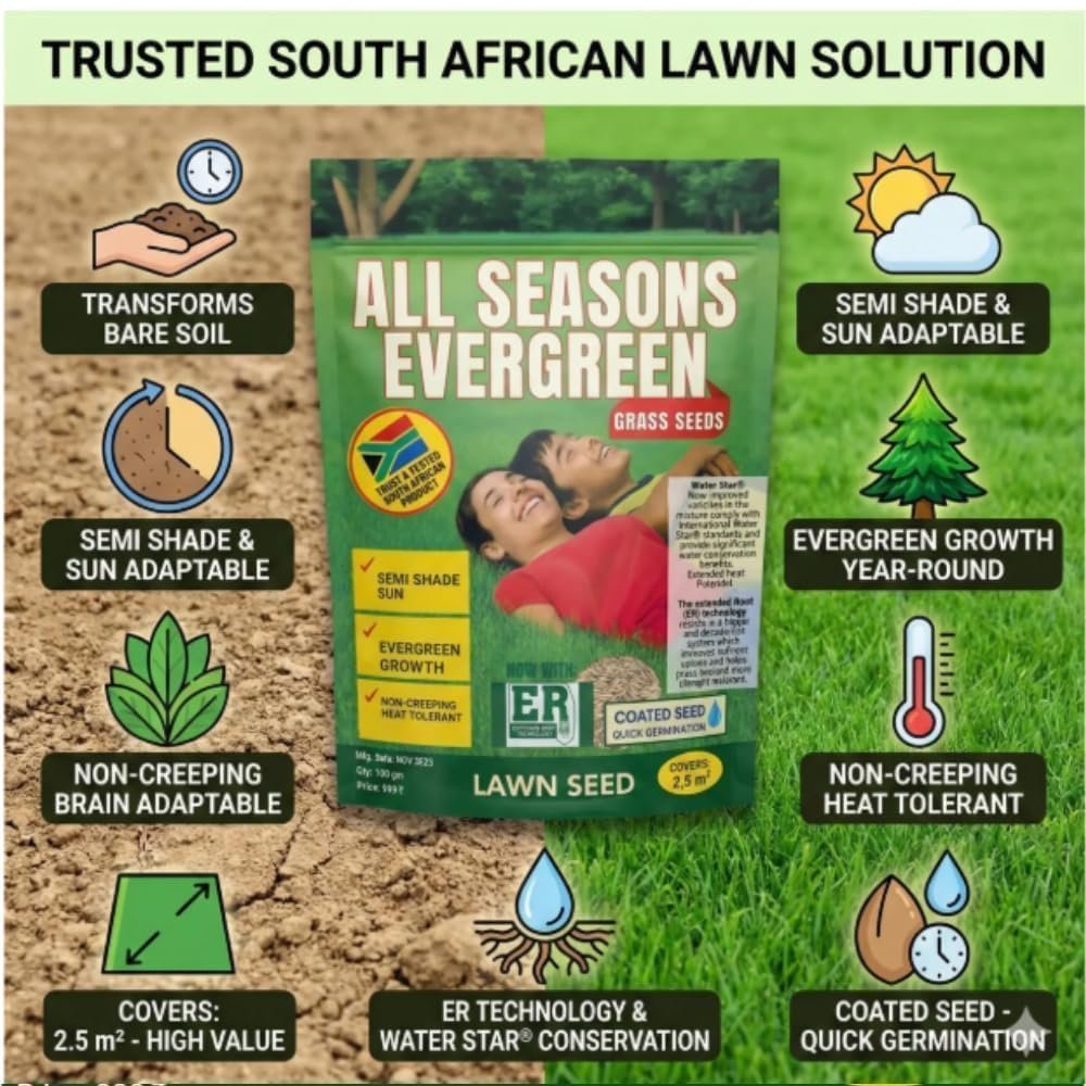 All Seasons Evergreen Grass Seeds Fast Germination Lawn Grass Seed Mix for Year-Round Green Turf Garden Lawn Yard Balcony Landscaping Easy Grow Durable Grass (PACK OF 2) - Image 3