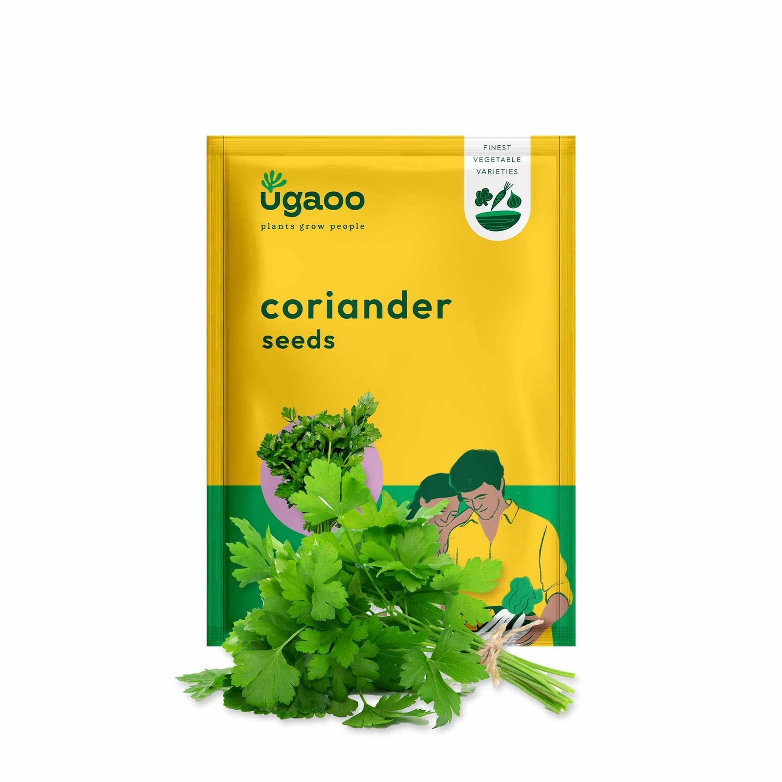Coriander Vegetable Seeds (Green, Pack of 6g)