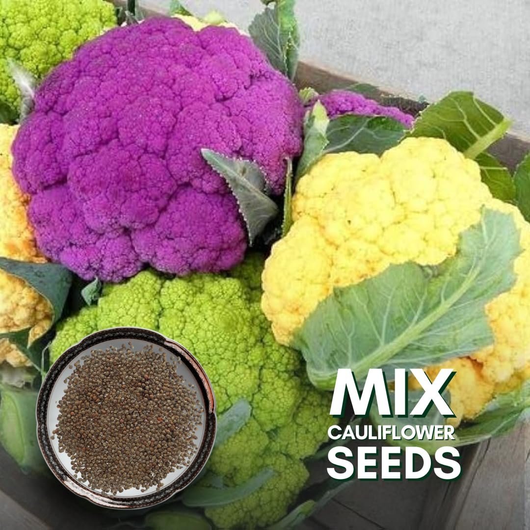 ® F1 Hybrid Mix Cauliflower Seeds Pack - Image 4
