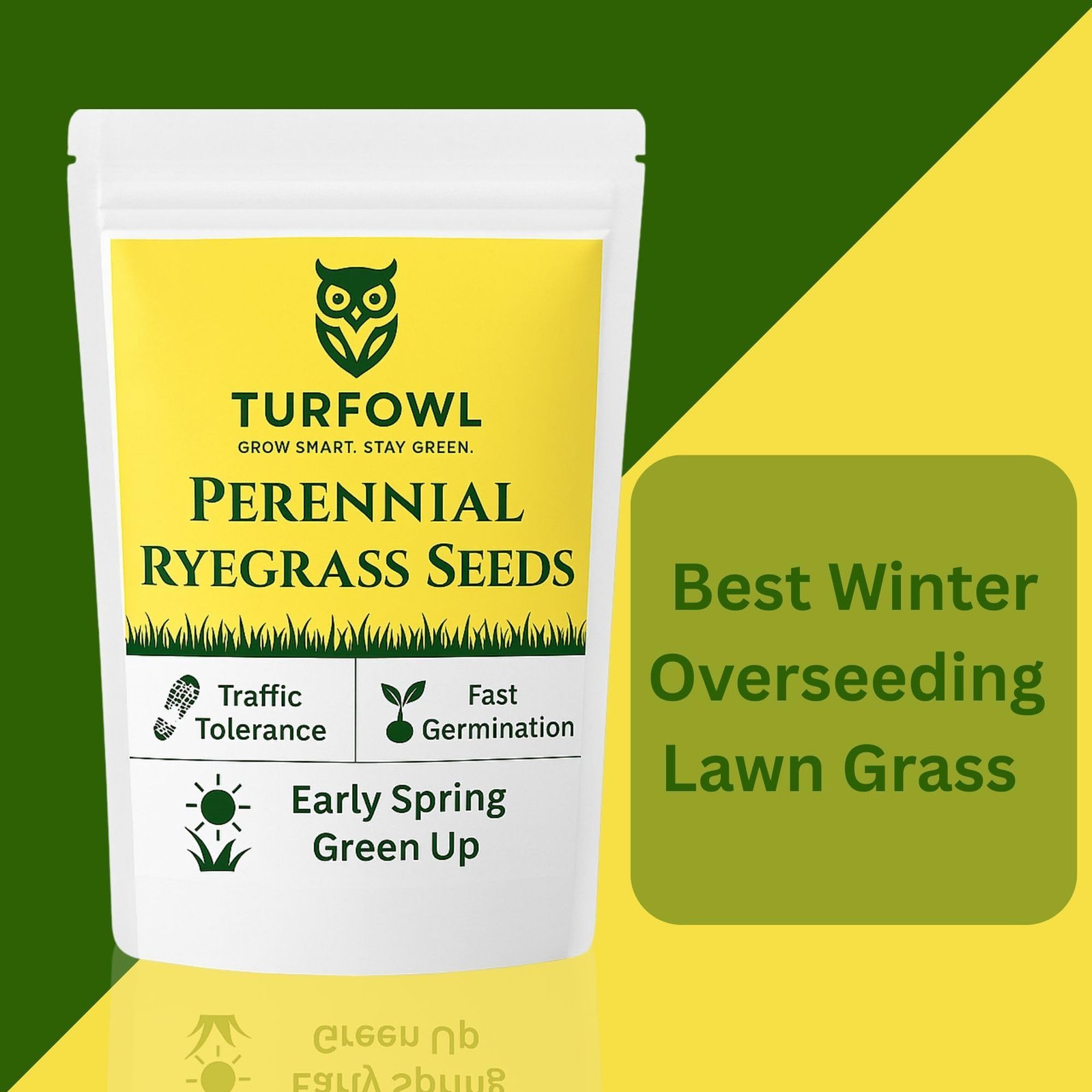 TURFOWL Perennial Ryegrass Seeds for Lawn | Fast Germination, High Traffic Tolerance Grass Seed | Ideal for Home Garden, Sports Lawn & Landscaping (25 g) - Image 5