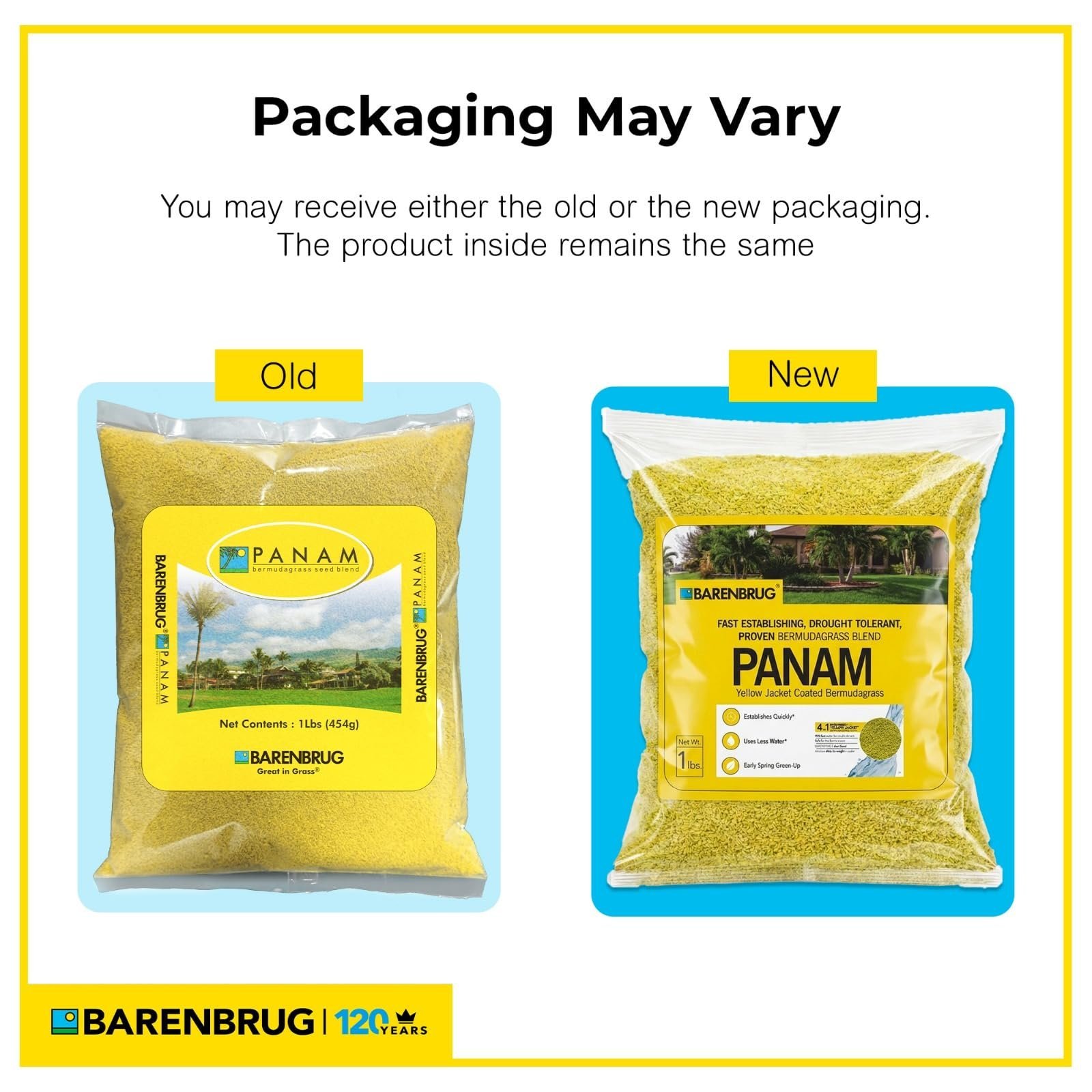 PanAm Bermuda Grass Seeds for Lawn | 454g / 1 Lbs Pack - Image 2