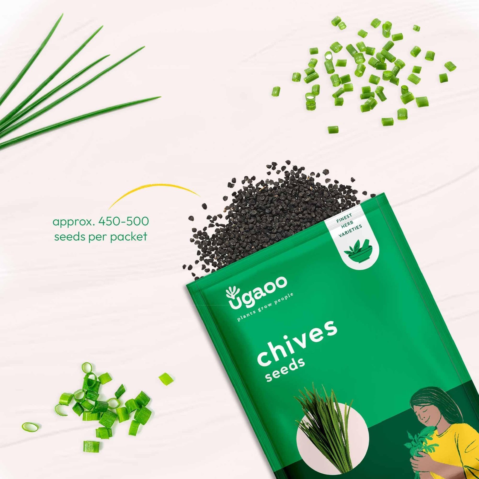 Chives Herb Seeds (Green, Pack of 500) - Image 2
