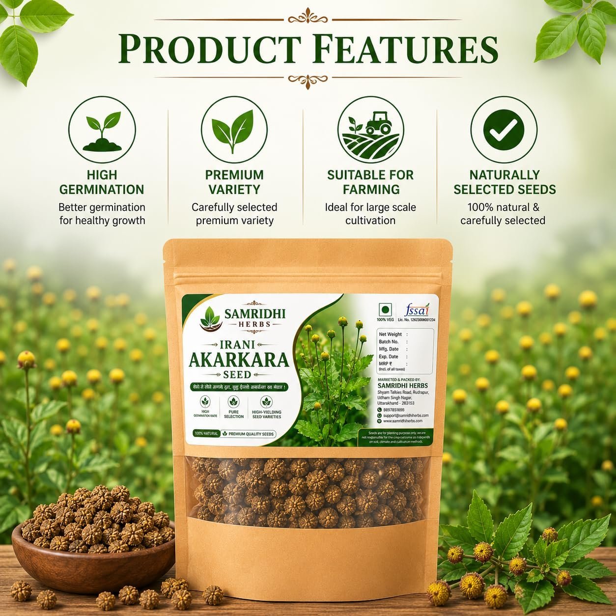 Akarkara (Acmella oleracea) Flower Seeds for Planting | Seeds for Home Gardening, Nursery & Outdoor Cultivation (50g × 1 Pack, 50, Grams) - Image 3