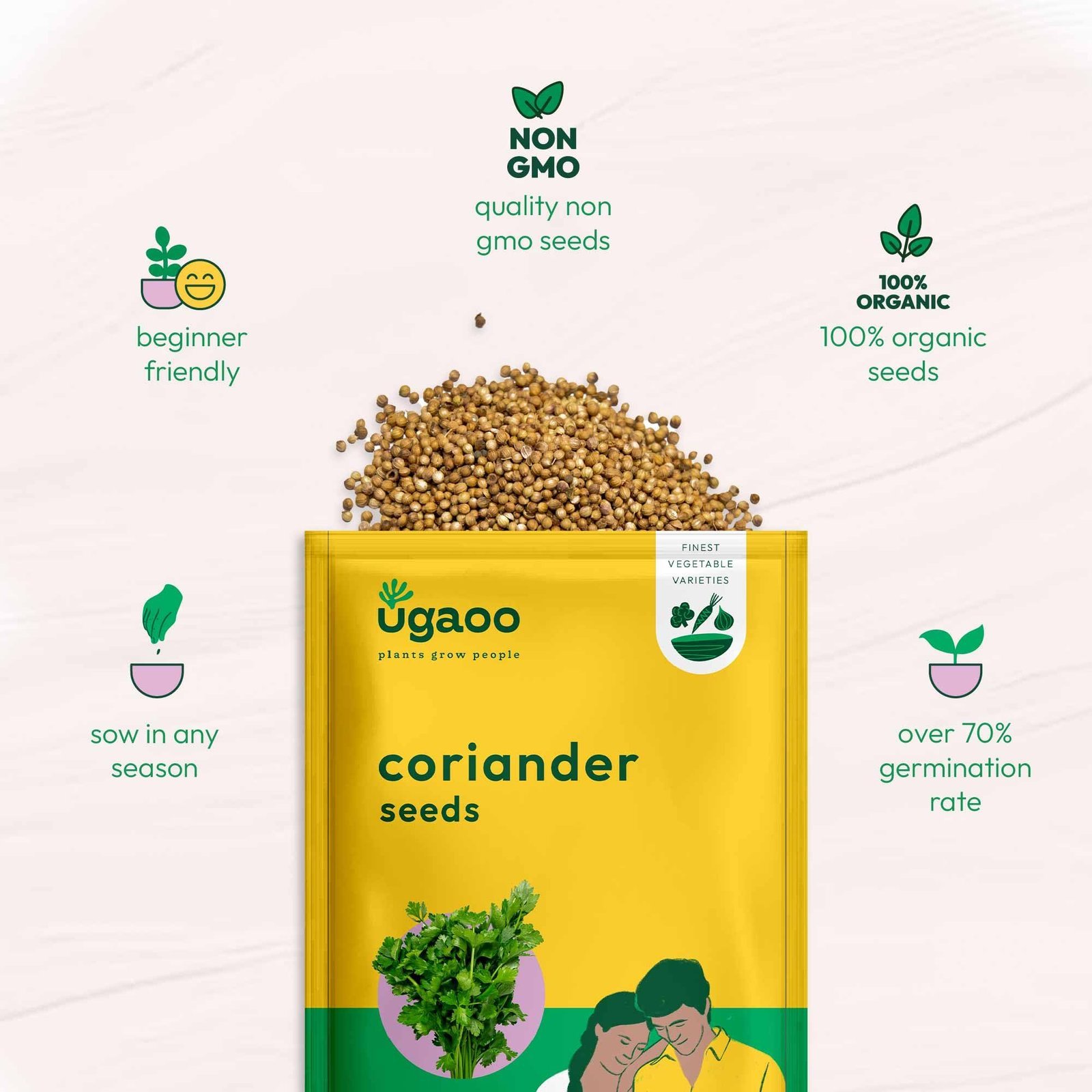 Coriander Vegetable Seeds (Green, Pack of 6g) - Image 5