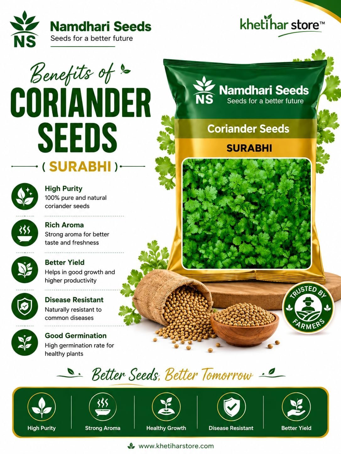Namdhari Seeds Surabhi Coriander Seeds (Dhania Seeds) 500g - Image 5