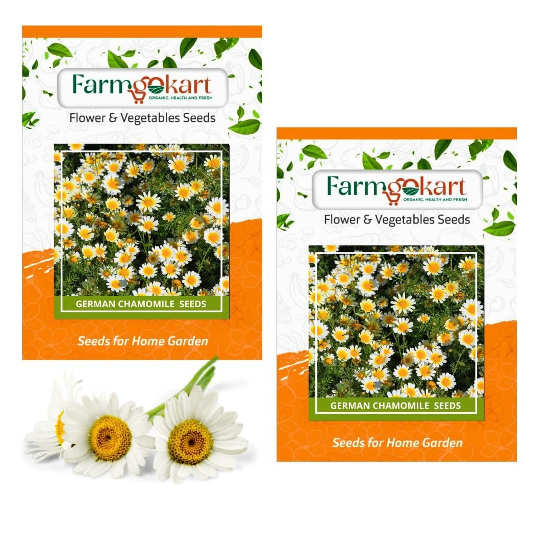 ~ German chamomile Herbs Planting Seeds – ideal for both home gardening and farming | Includes 2 Packets (Each with 400 Seeds, Total 800 no’s in 2 Packets)