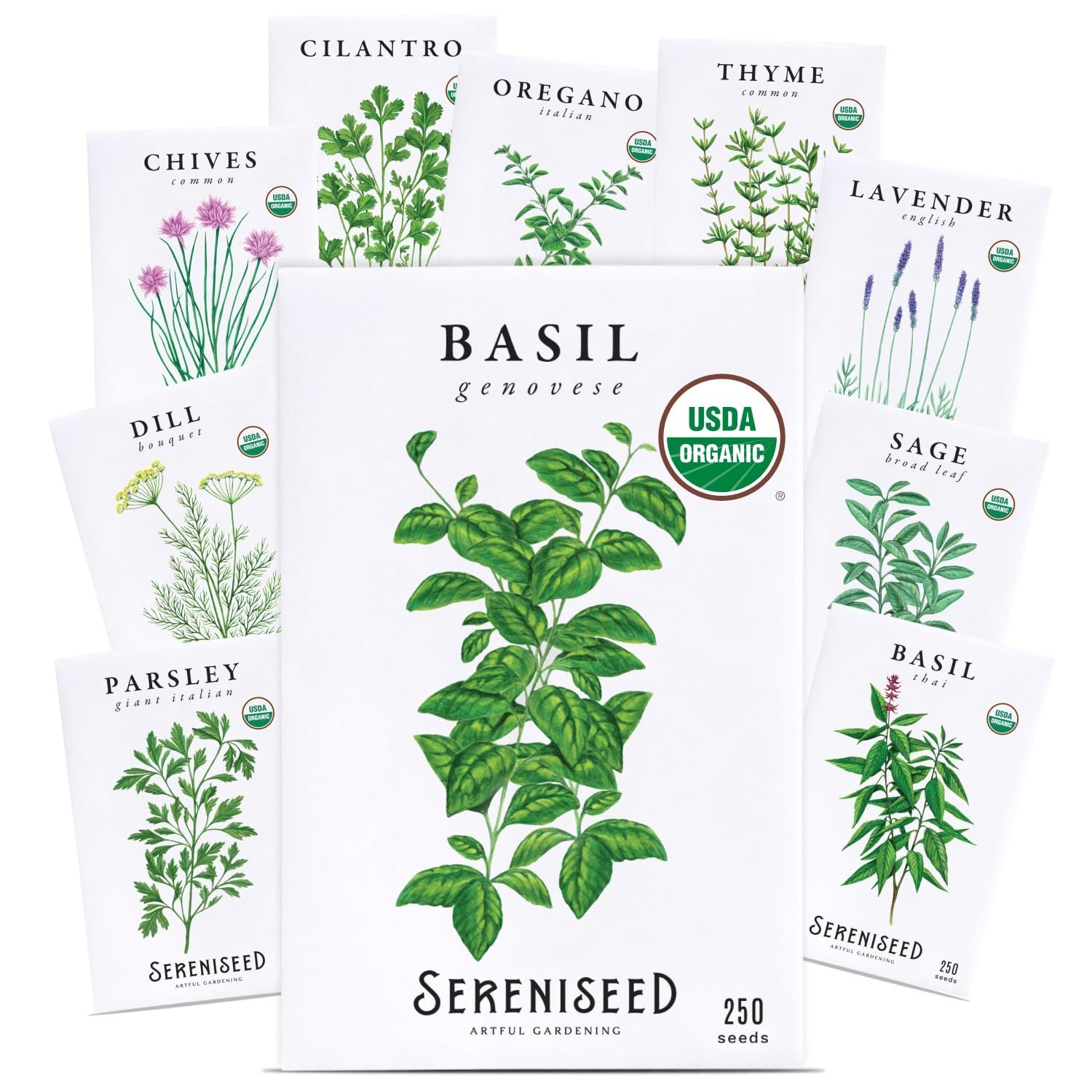 Certified Organic Herb Seeds (Pack of 10) - GMO, Heirloom - Seed Start Video - Basil, Coriander, Oregano, Thyme, Parsley, Lavender, Chives, Sage, Dill Seeds for Indoor and