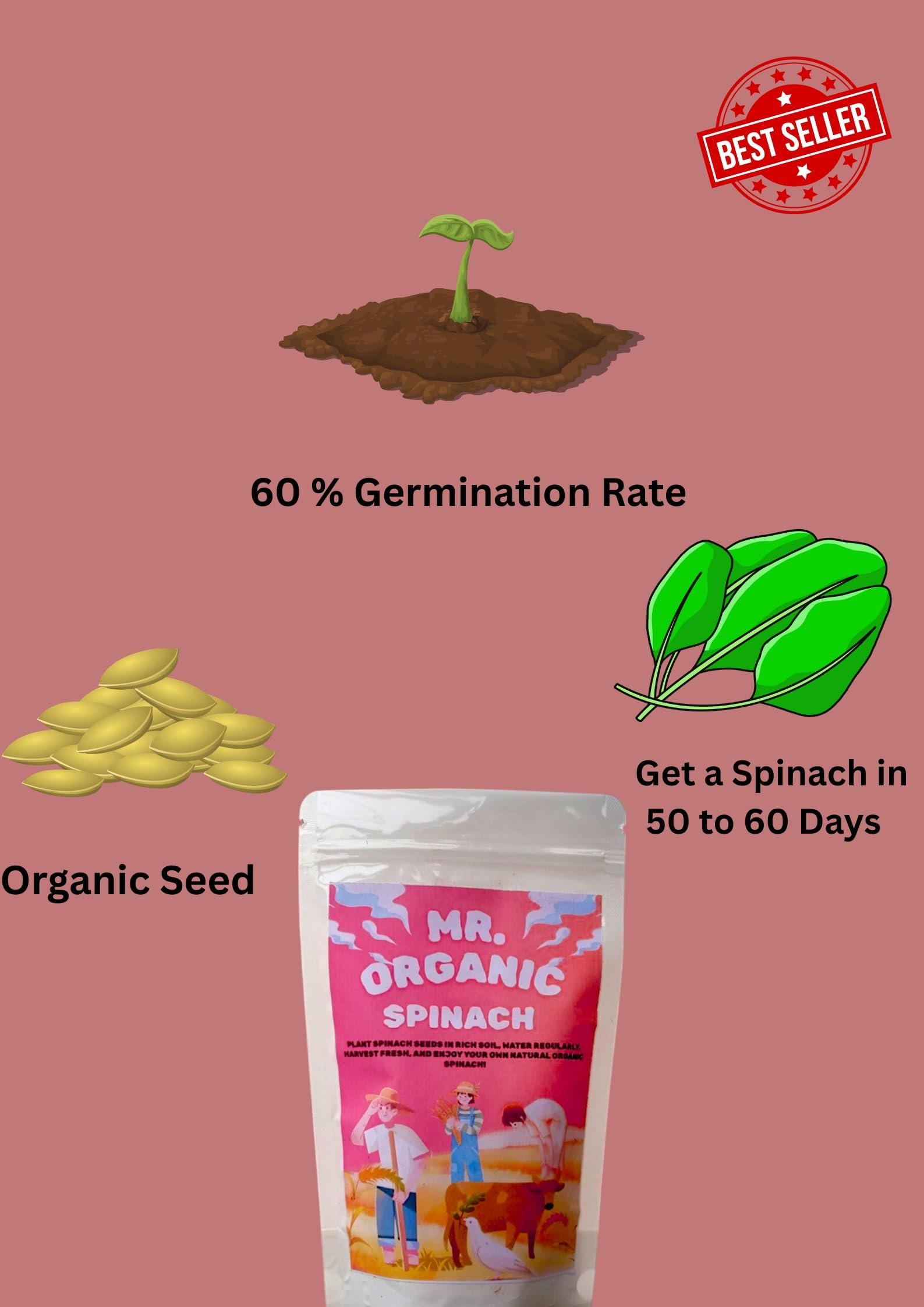 Spinach Seed for Home Gardening (4000 To 5000 Seeds) 75 Gram | Vegetable Seeds for Home Gardening | Vegetable Planting Seed for Kitchen | High Germination Rate - Image 6