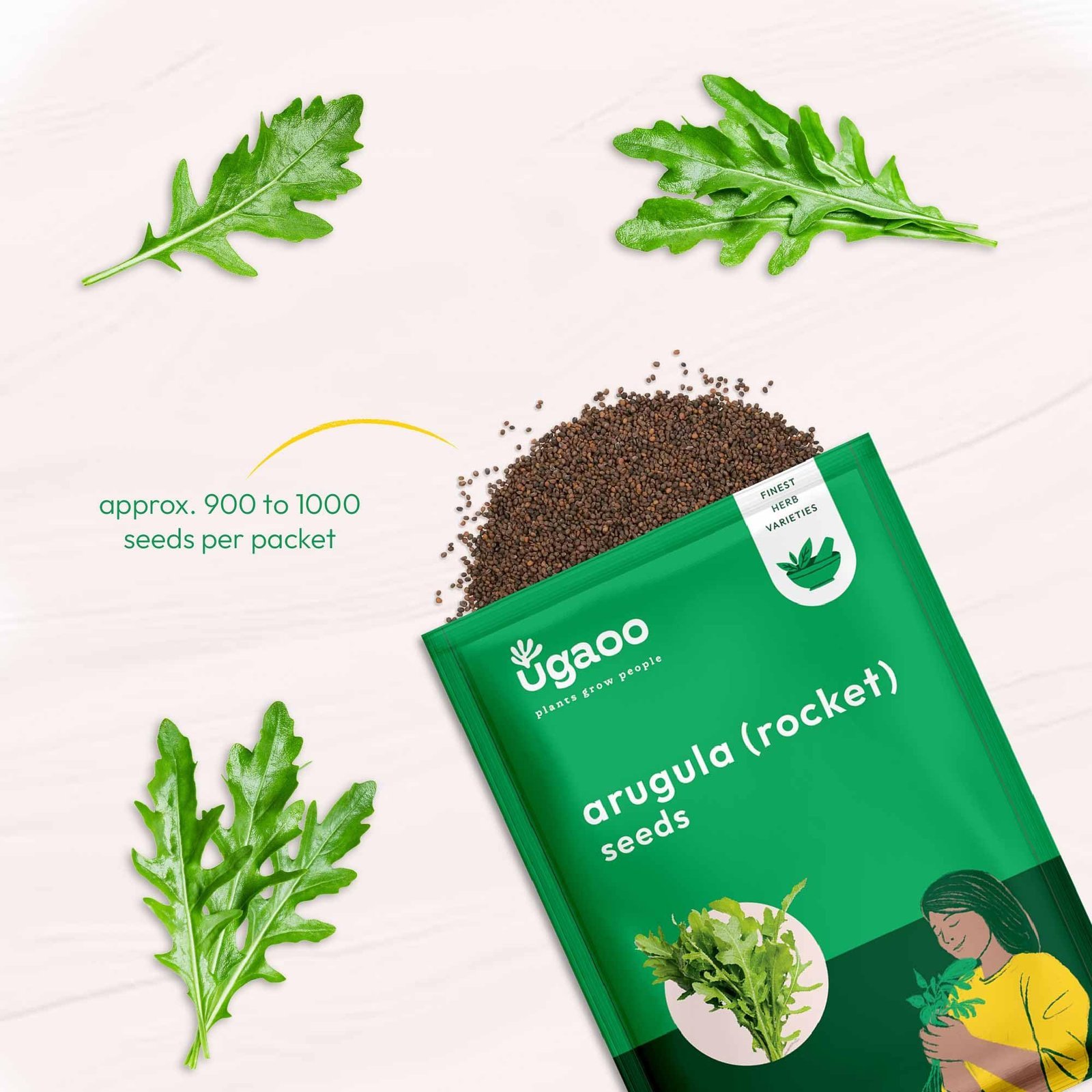 Rocket Arugula Herb Seeds (Green, Pack of 1000) - Image 2