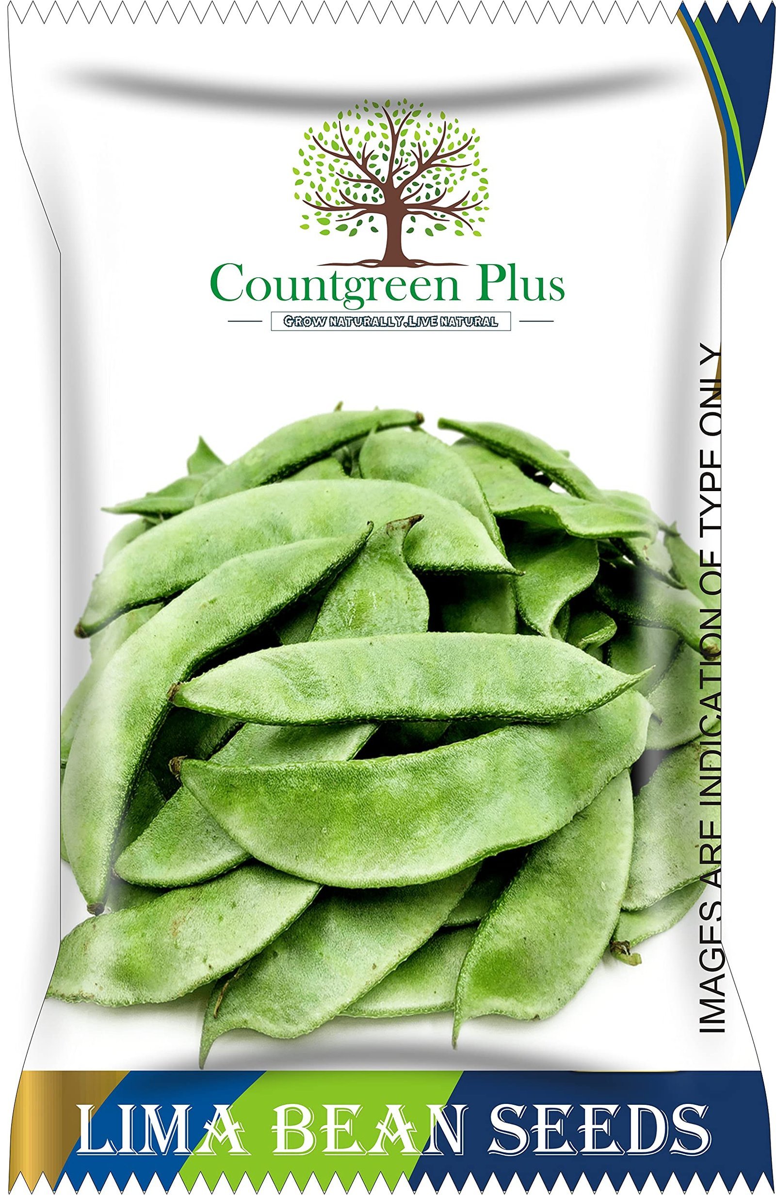 "Countgreen Plus Lima Beans (Sem Fali) Seeds High-Yield, Organic Variety for Fresh, Nutritious Beans; Ideal for Home Gardens and Commercial Cultivation (Pack of 40 Seeds)"