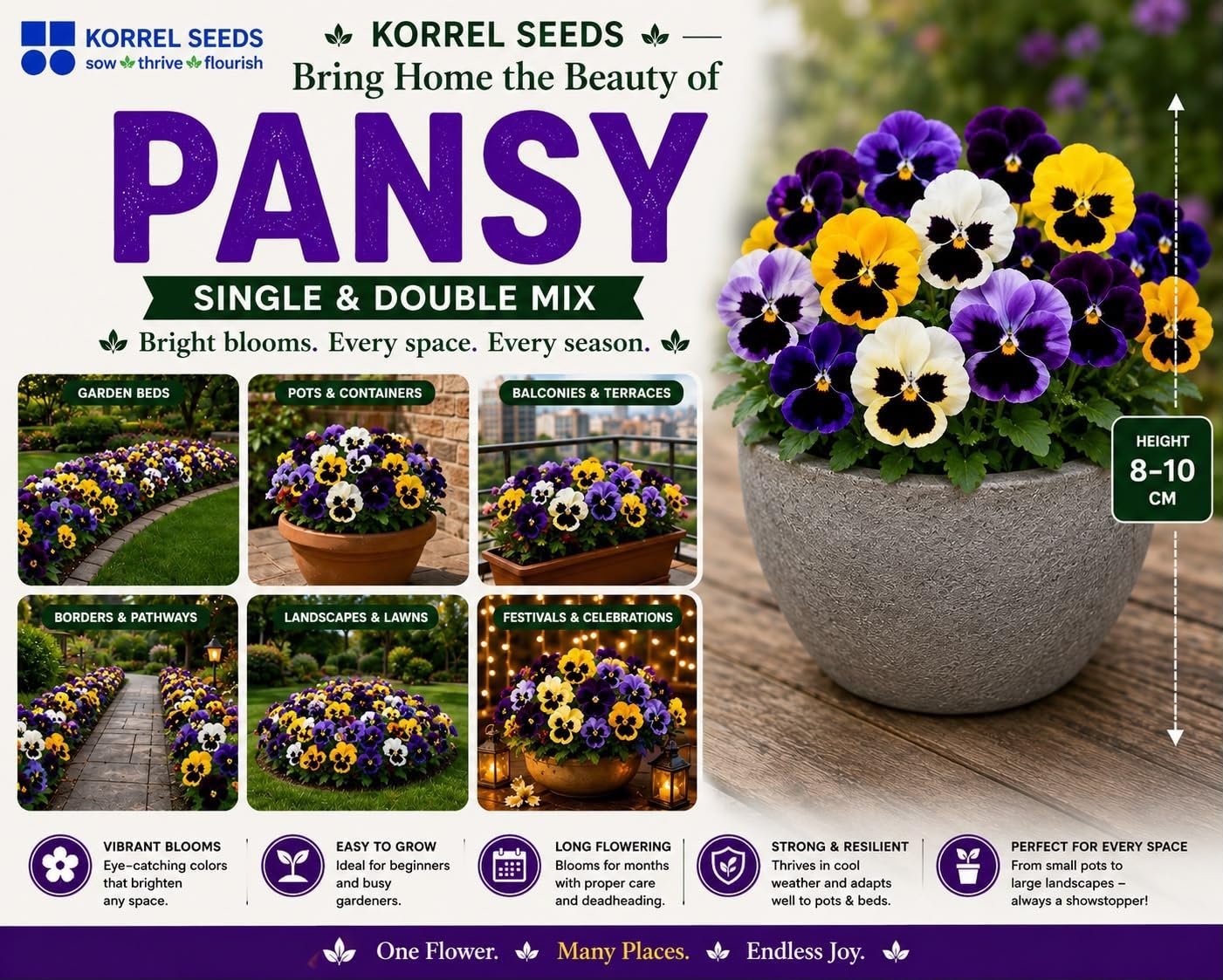 Pansy KS Special Mix Flower Seeds 100g (Viola × wittrockiana) | Professional Nursery Pack | Winter Flower Seeds for Pots, Beds, Balcony & Garden - Image 4
