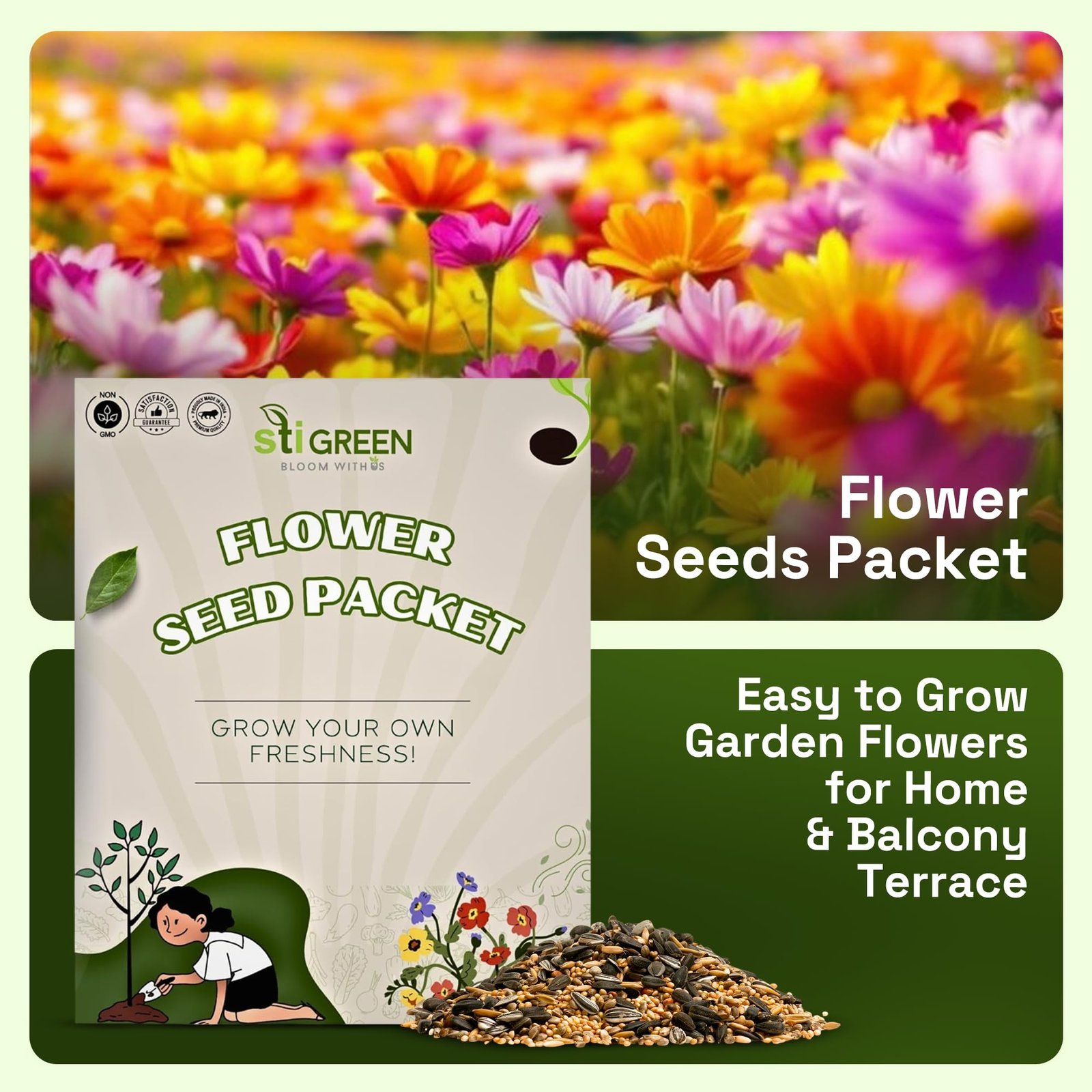 Zinnia Flower Seeds - Premium 4-Variety Mix (Red, Purple, Orange & More) | Vibrant Zinnia Seeds Mix Colour Hybrid for Gardens | Ideal Flower Seed Varieties for Outdoor Annual Blooms - Image 2