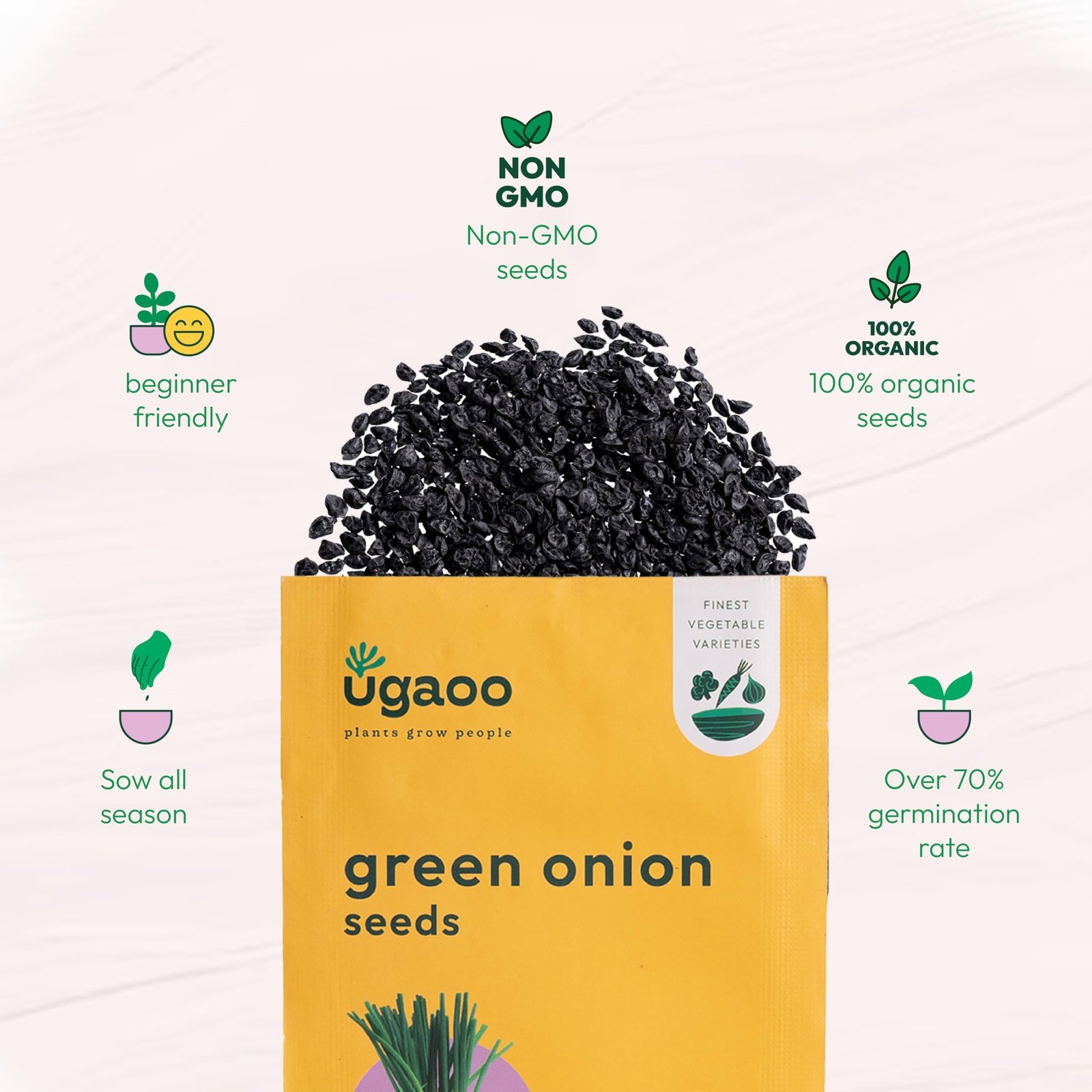 Leek or Onion Vegetable Seeds (Green, Pack of 2g) - Image 5