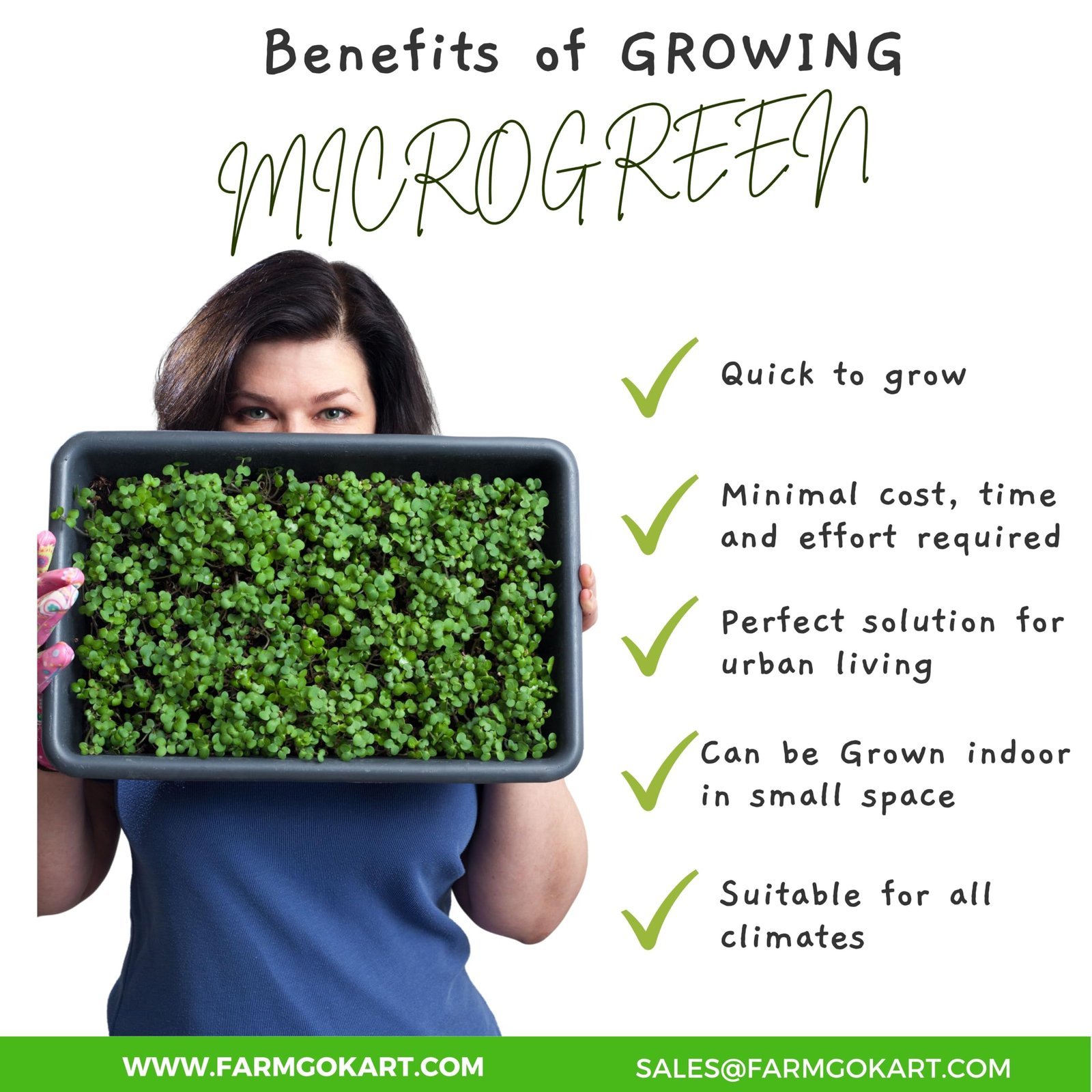 RADISH MICROGREEN SEEDS | 100 Gms |- Non-GMO, Heirloom Seeds for Growing Microgreens in Soil, Coconut Coir, Aerogarden & Hydroponic - Image 4