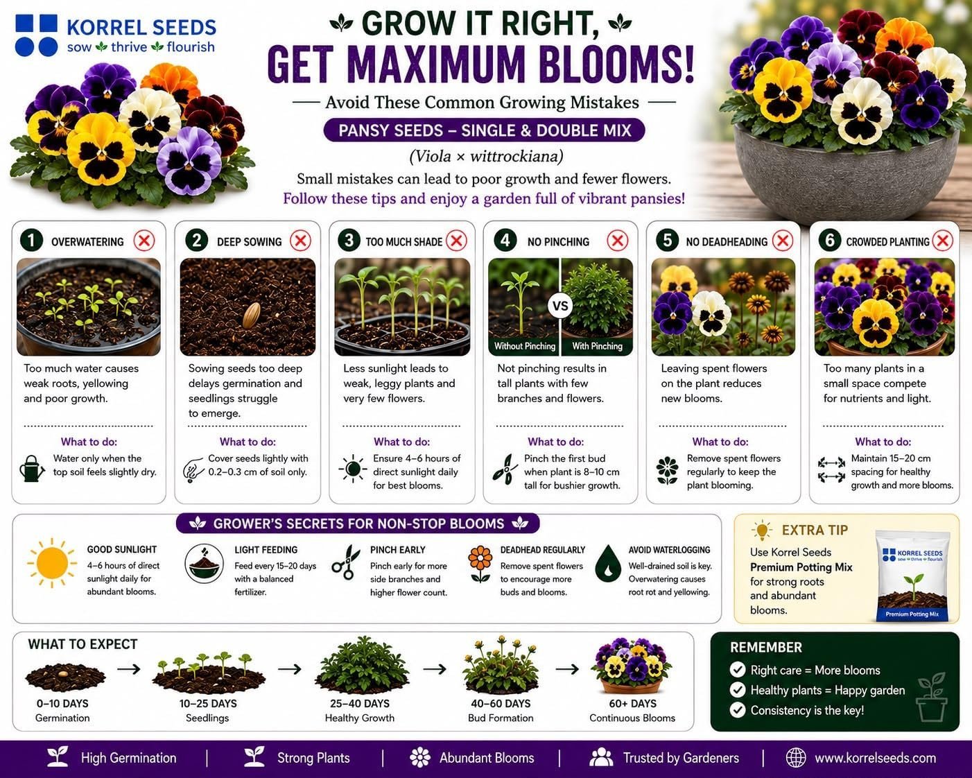 Pansy KS Special Mix Flower Seeds 100g (Viola × wittrockiana) | Professional Nursery Pack | Winter Flower Seeds for Pots, Beds, Balcony & Garden - Image 9