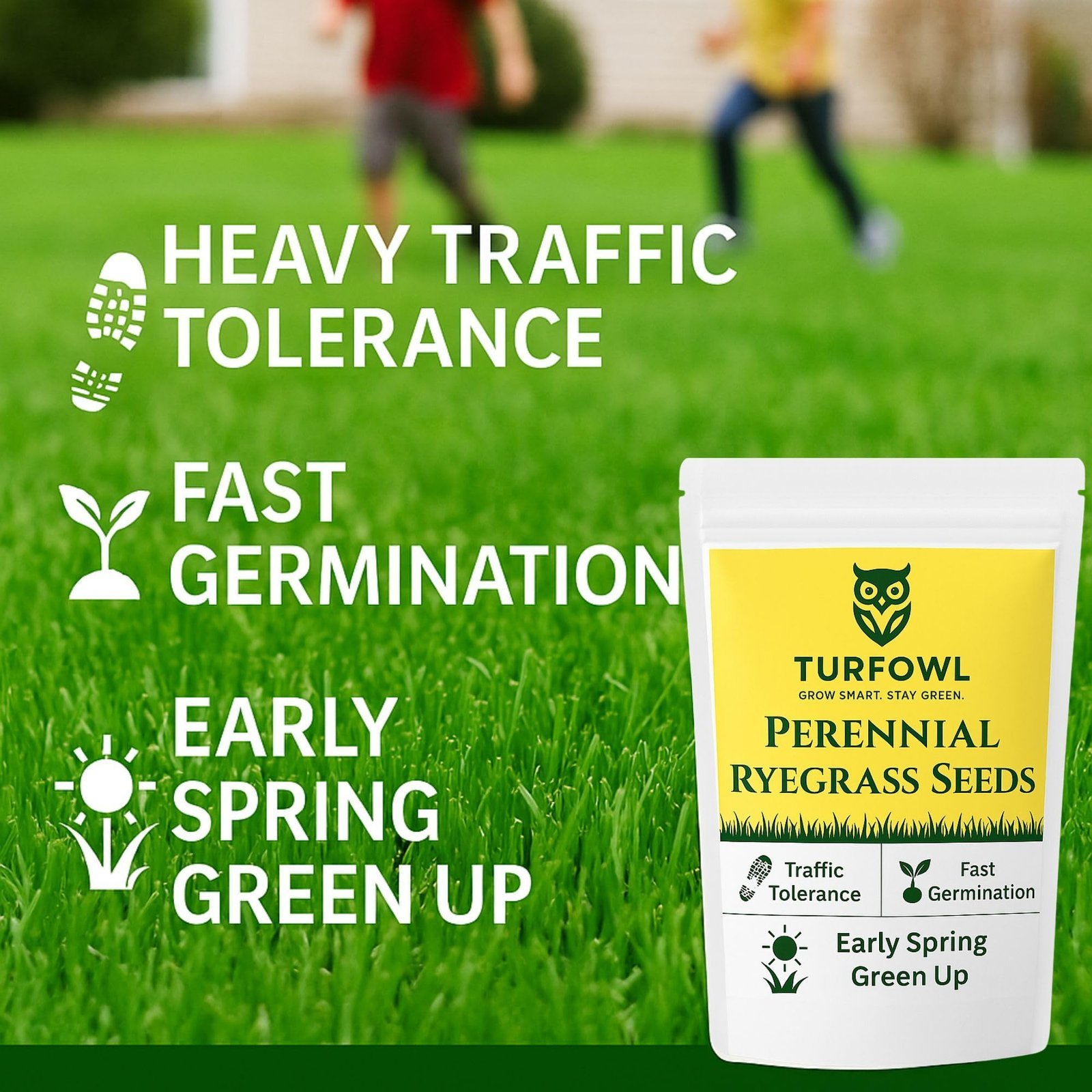 TURFOWL Perennial Ryegrass Seeds for Lawn | Fast Germination, High Traffic Tolerance Grass Seed | Ideal for Home Garden, Sports Lawn & Landscaping (25 g) - Image 4