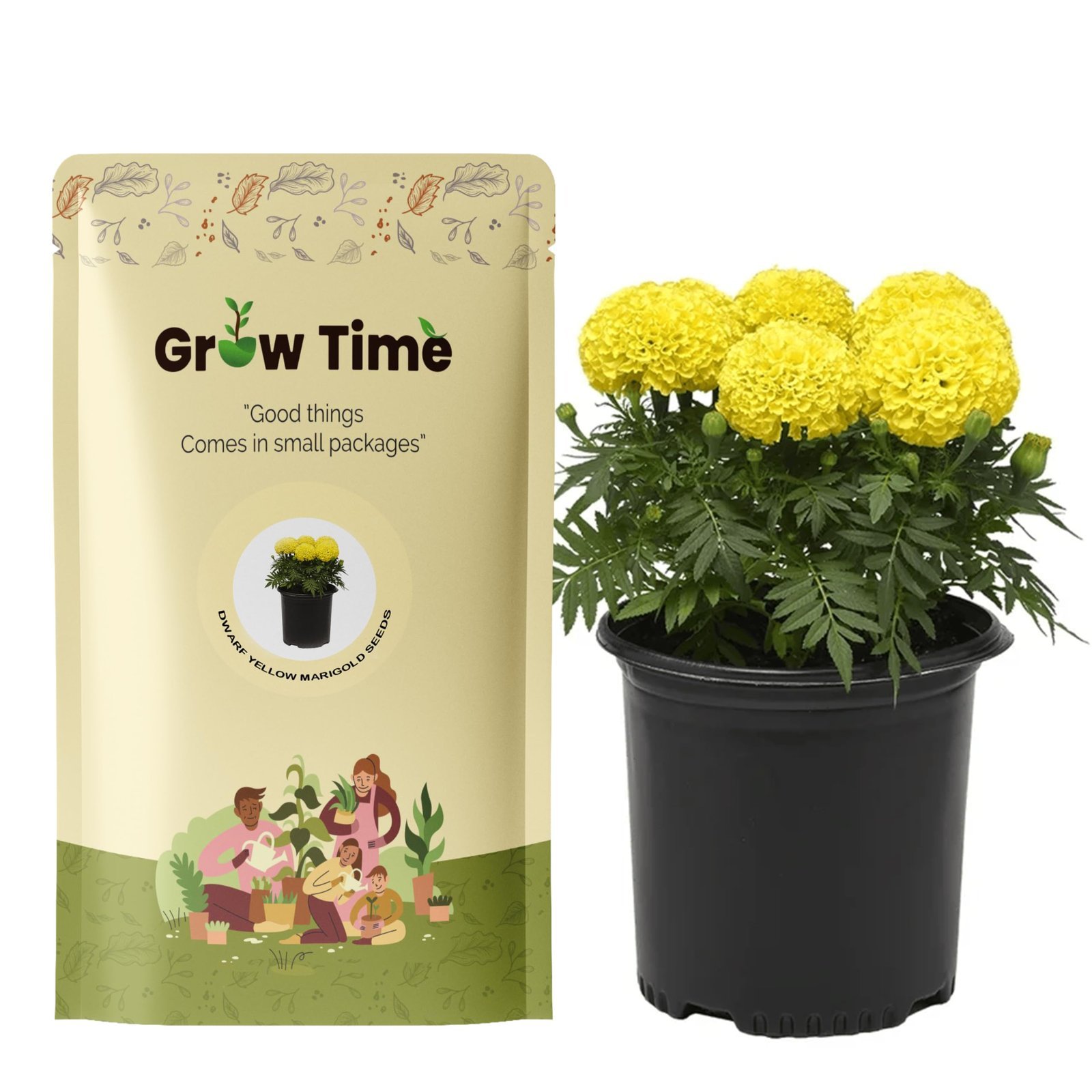 Marigold Flower (Genda) Seed, Seeds for Home Gardening, Annual Flower Garden Seed, Marigold Flowers (Genda) (African Dwarf Yellow, 50 Seeds)