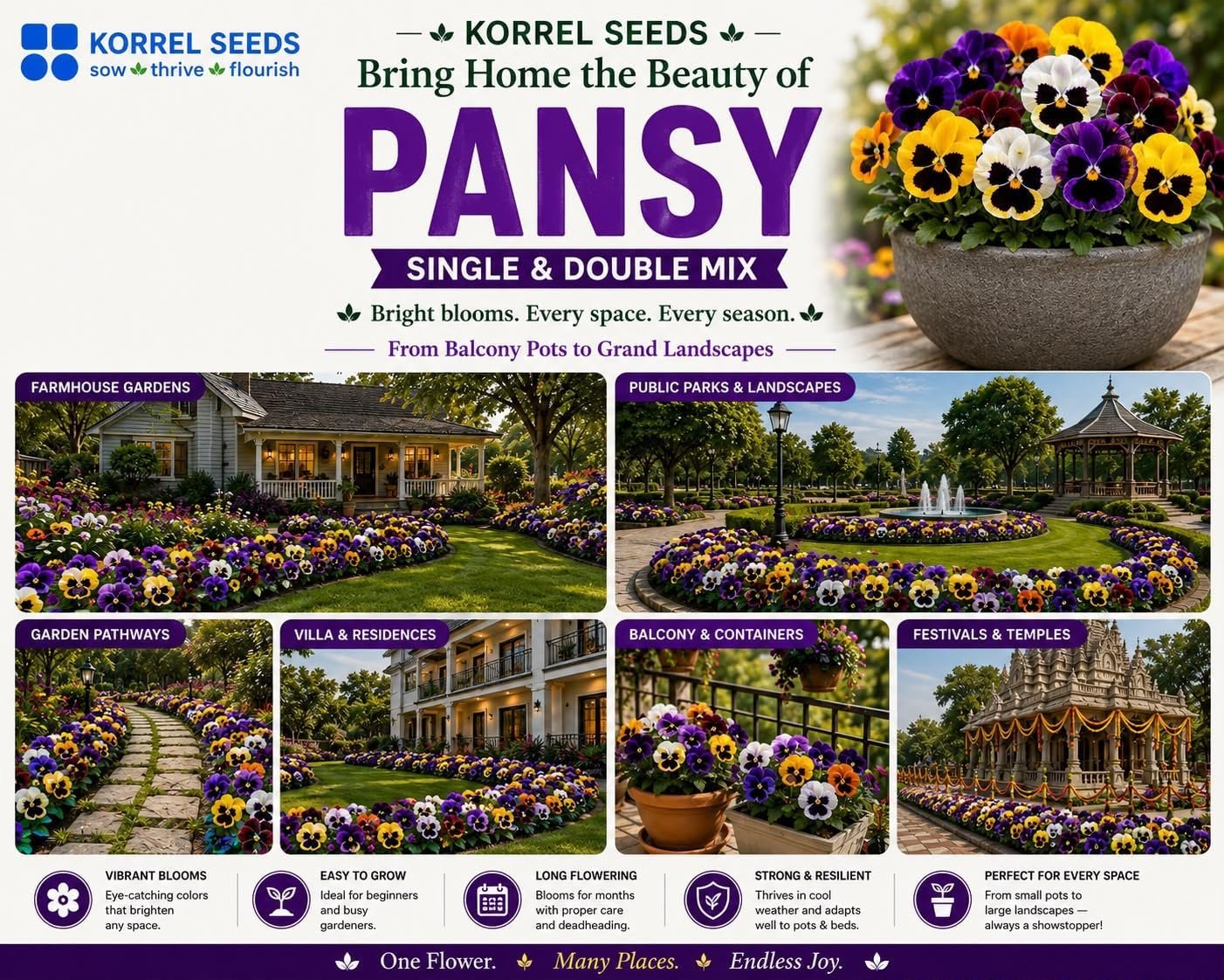 Pansy KS Special Mix Flower Seeds 100g (Viola × wittrockiana) | Professional Nursery Pack | Winter Flower Seeds for Pots, Beds, Balcony & Garden - Image 7