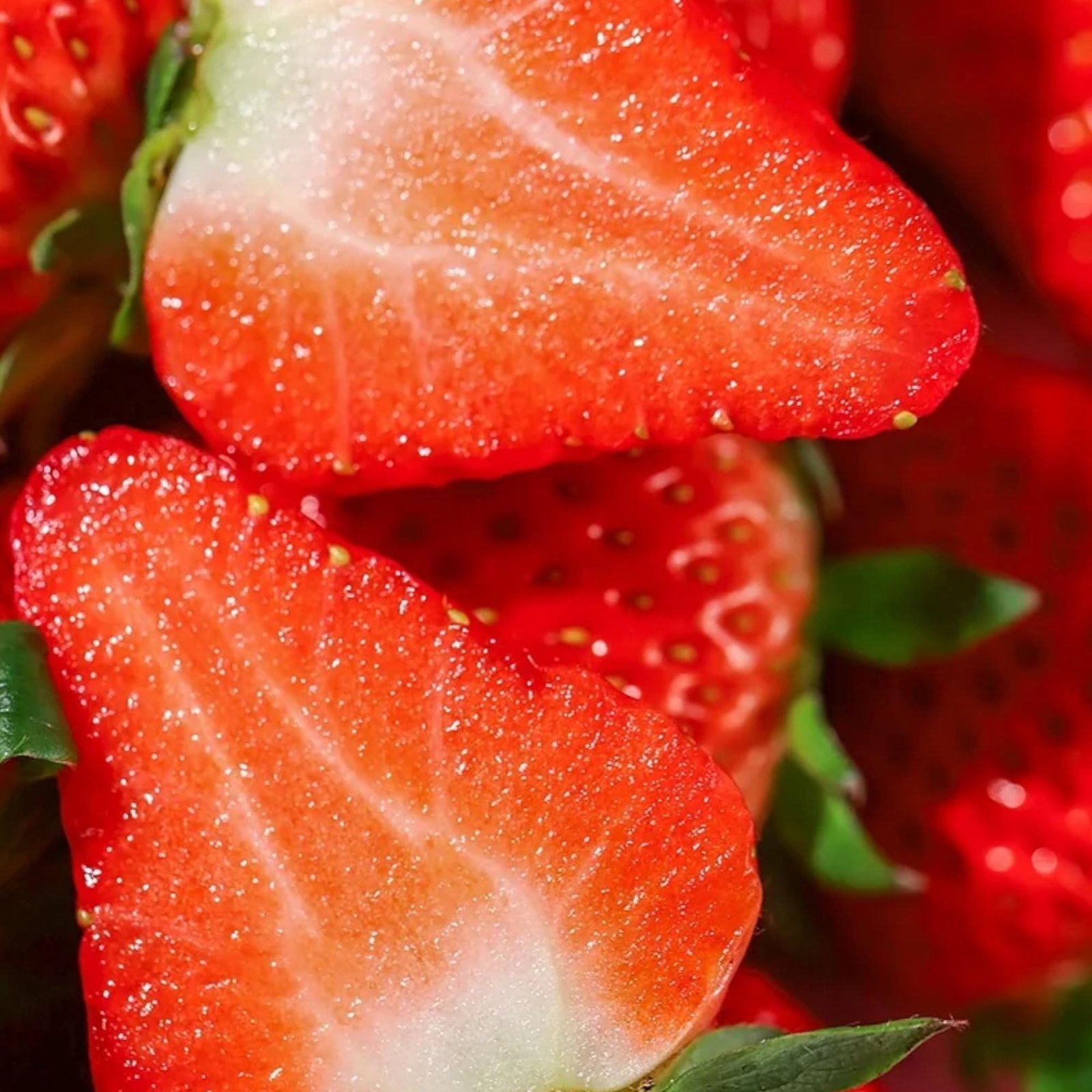 200pcs Cream Strawberry Seeds - Hardy Perennial Herb, Fall & Spring Planting, Vibrant Multi-Color Harvest (Red Strawberry) - Image 6