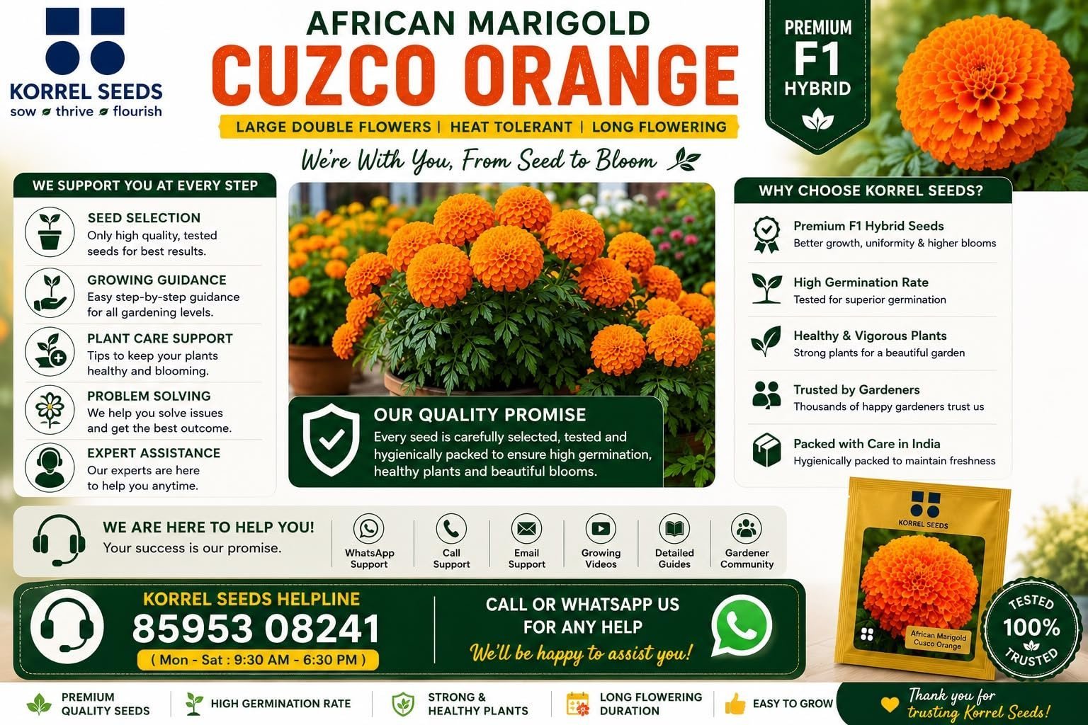 African Marigold Cuzco F1 Hybrid Orange Flower Seeds | Professional Growers Pack | 1000 Seeds | Large Double Flowers | Nursery & Commercial Cultivation (1000 Seeds) - Image 9