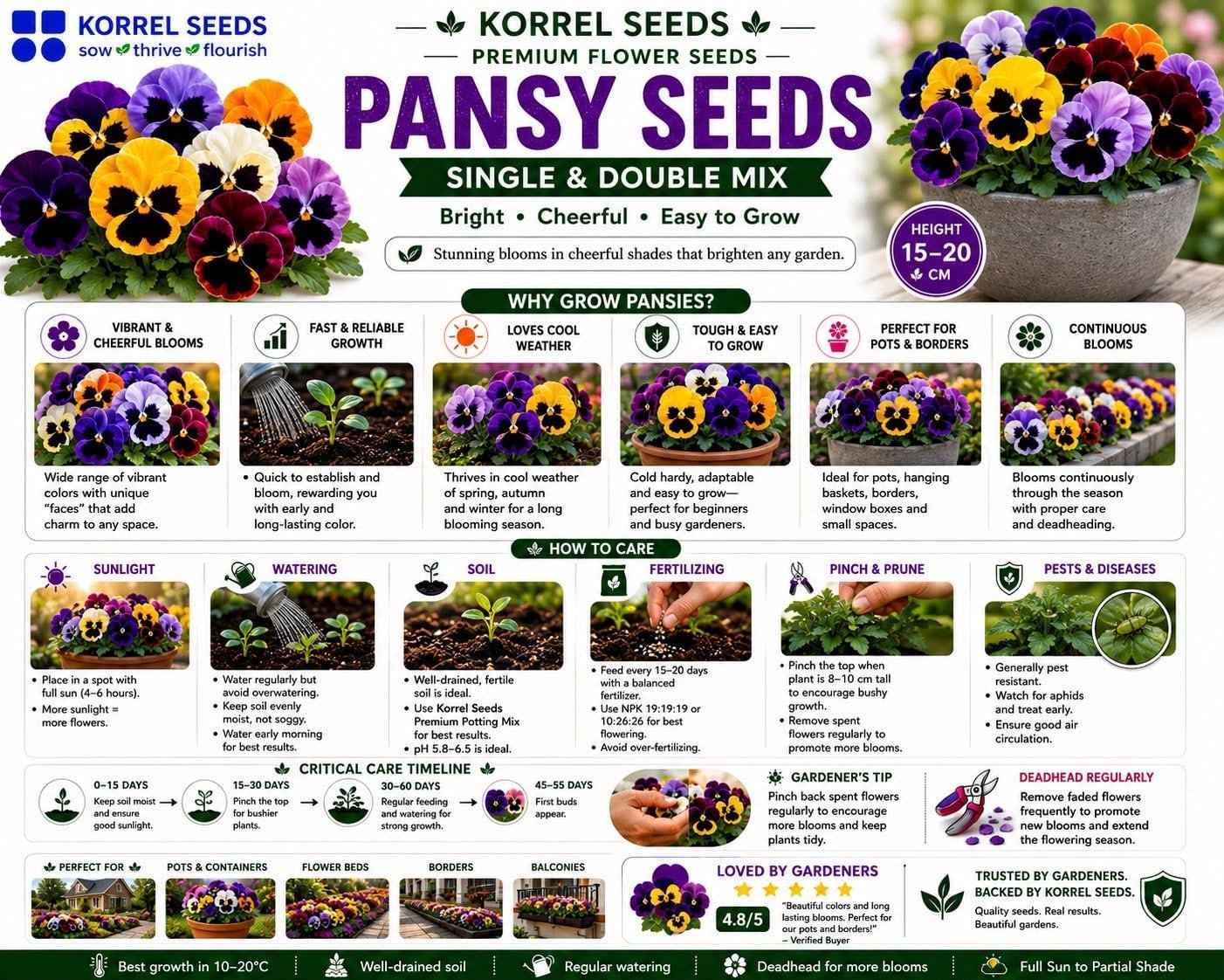 Pansy KS Special Mix Flower Seeds 100g (Viola × wittrockiana) | Professional Nursery Pack | Winter Flower Seeds for Pots, Beds, Balcony & Garden - Image 2