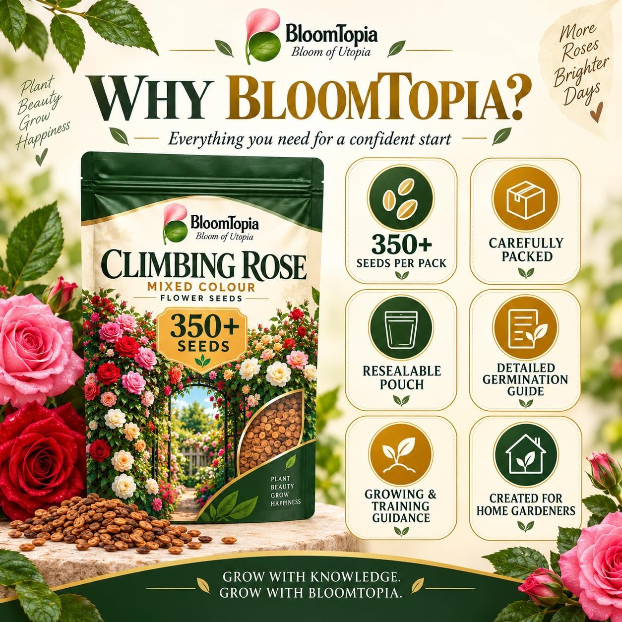 Climbing Rose Seeds Mixed Colour Flower Seeds 350+ Seeds - Image 8