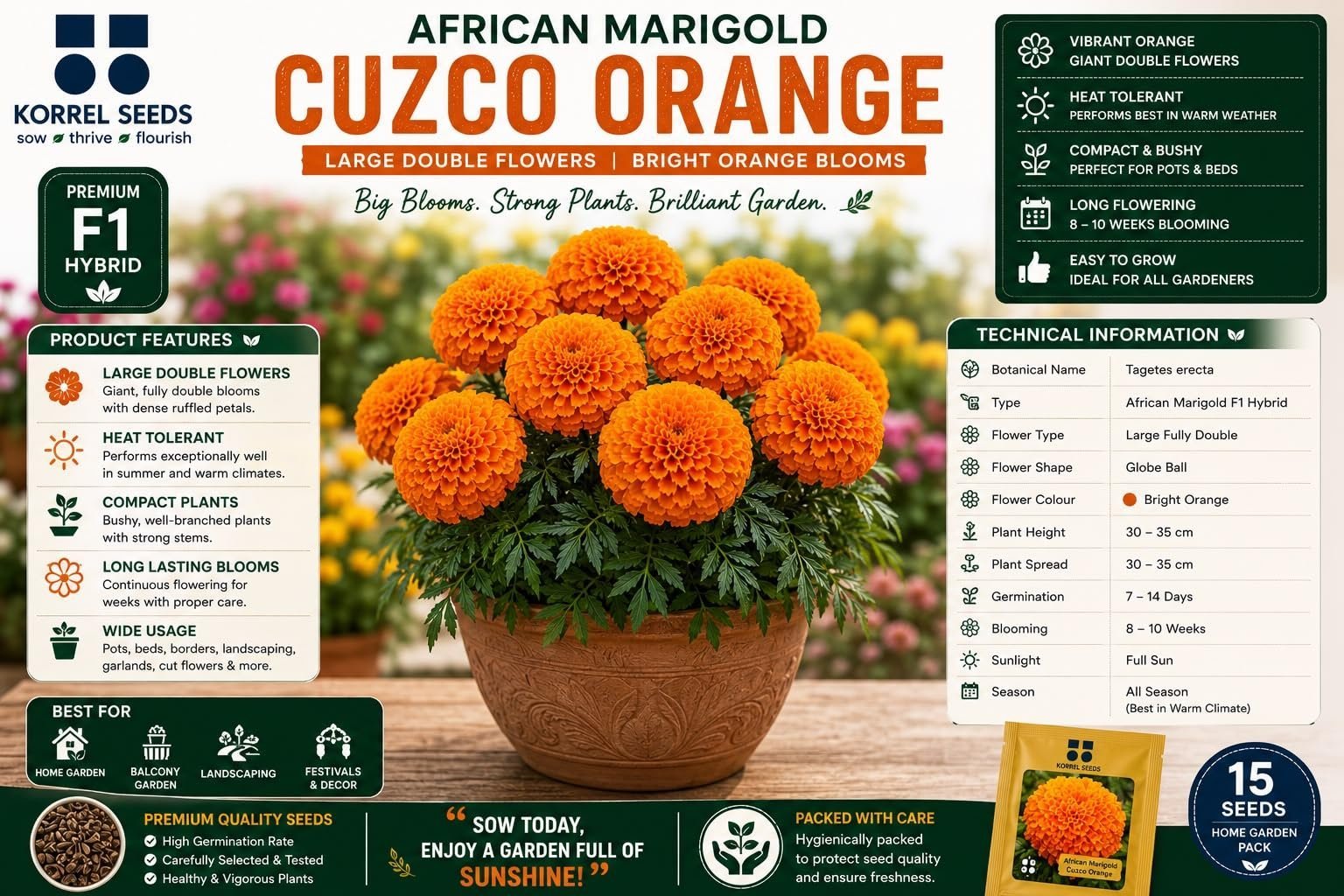 African Marigold Cuzco F1 Hybrid Orange Flower Seeds | Professional Growers Pack | 1000 Seeds | Large Double Flowers | Nursery & Commercial Cultivation (1000 Seeds) - Image 5