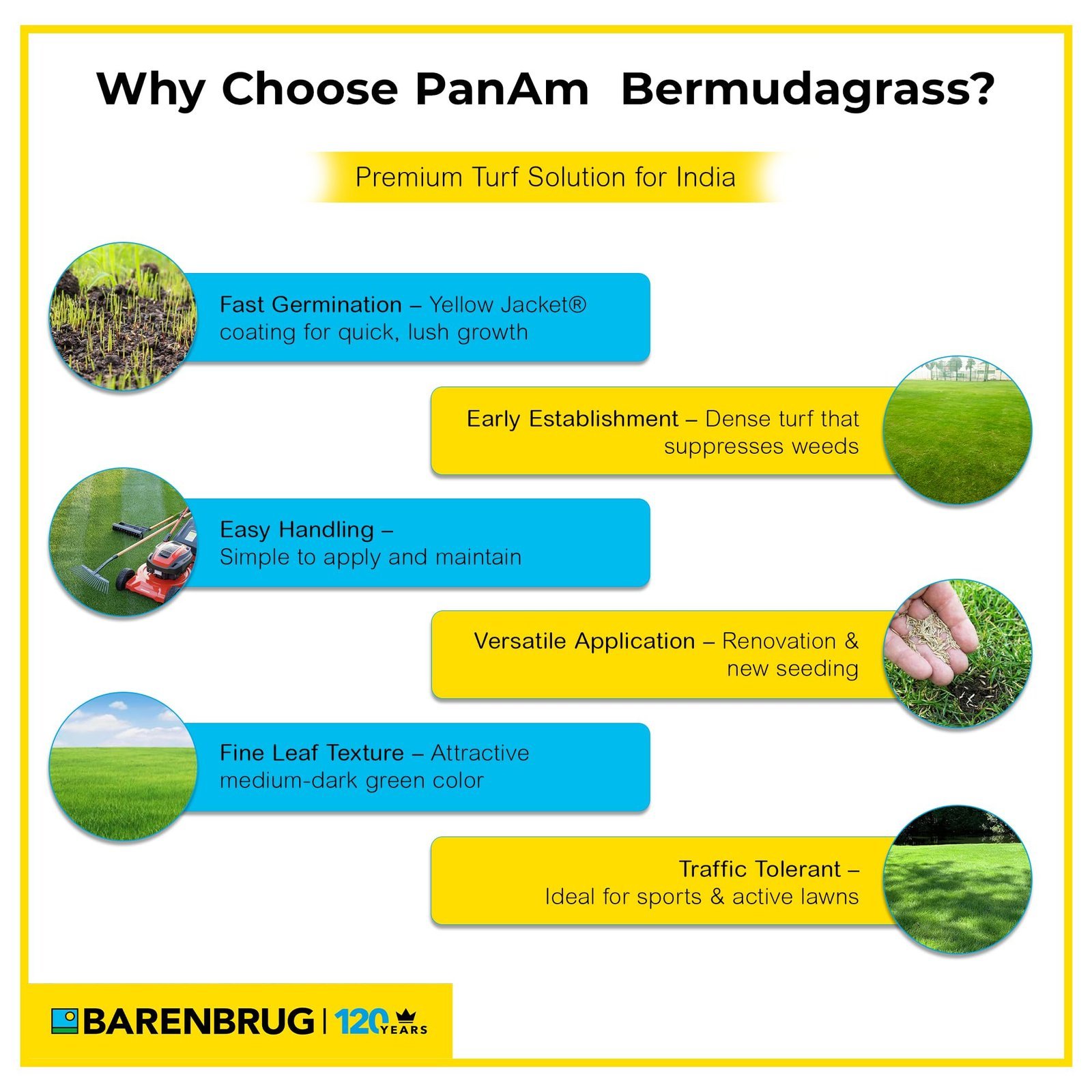 PanAm Bermuda Grass Seeds for Lawn | 454g / 1 Lbs Pack - Image 7