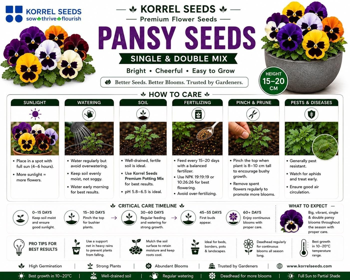 Pansy KS Special Mix Flower Seeds 100g (Viola × wittrockiana) | Professional Nursery Pack | Winter Flower Seeds for Pots, Beds, Balcony & Garden - Image 8